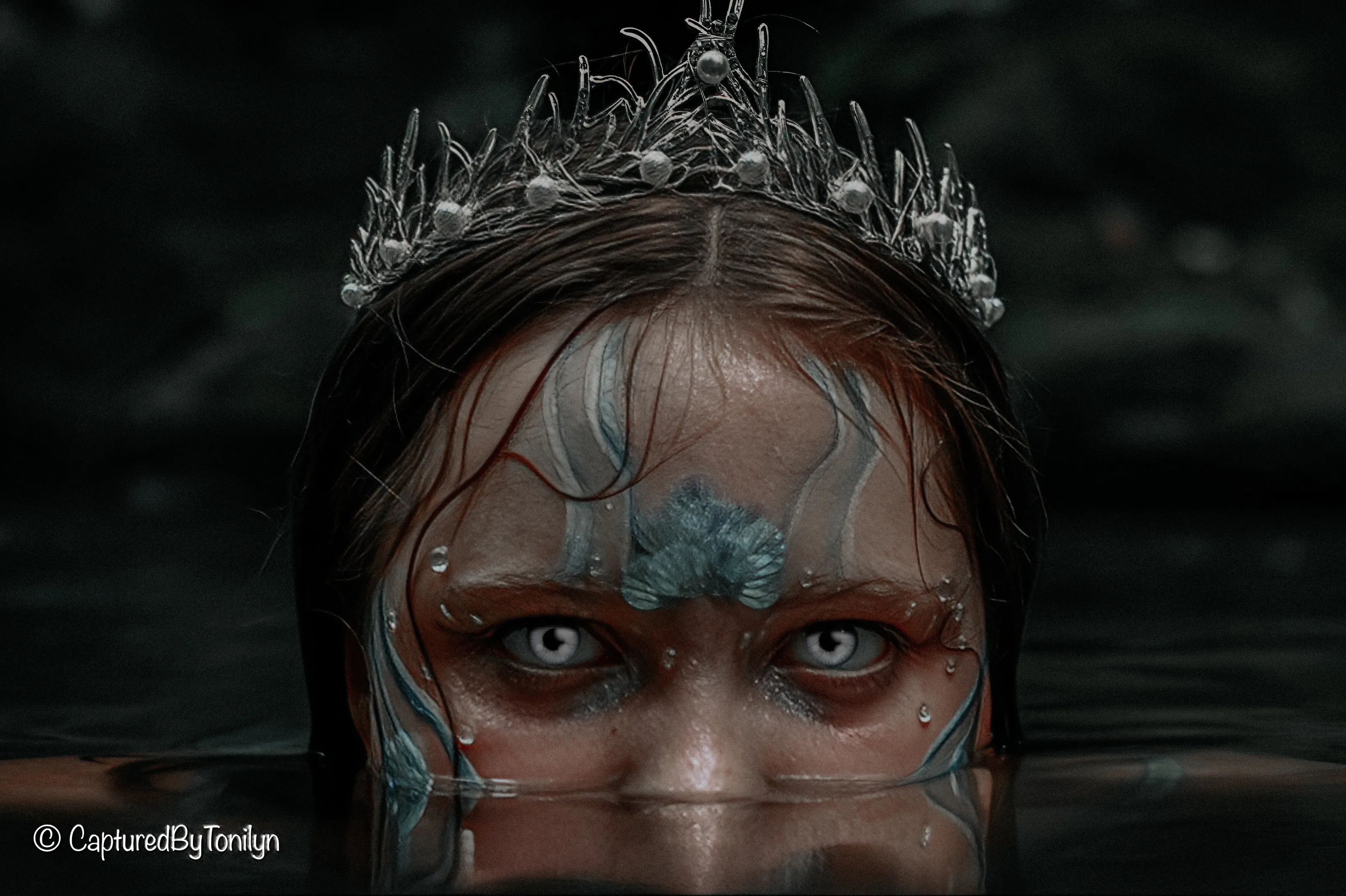 Banner image