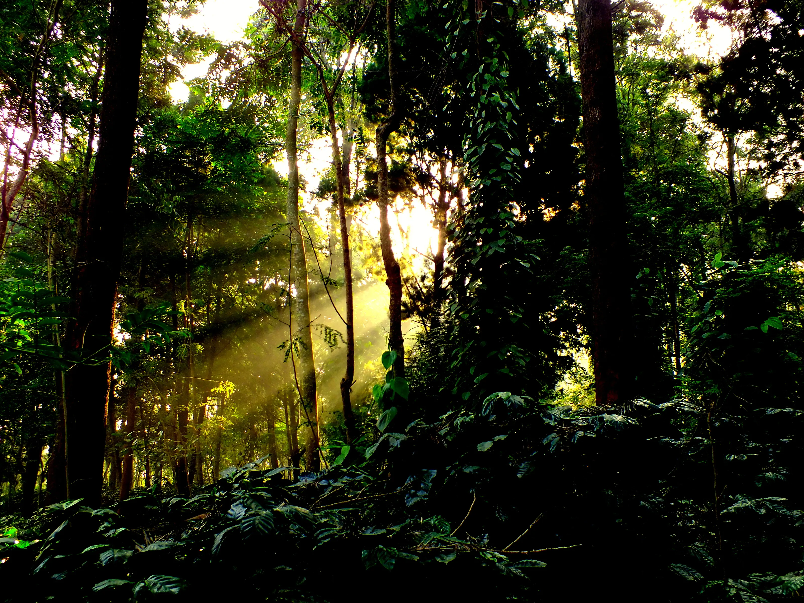 One touch of nature makes the whole world kin