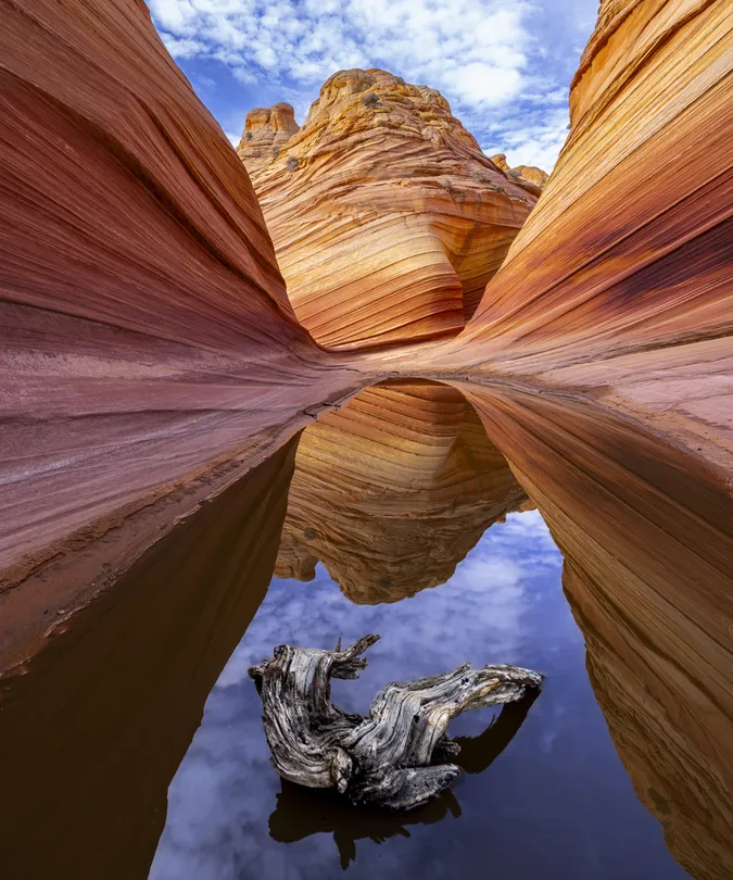 Floating On The Wave