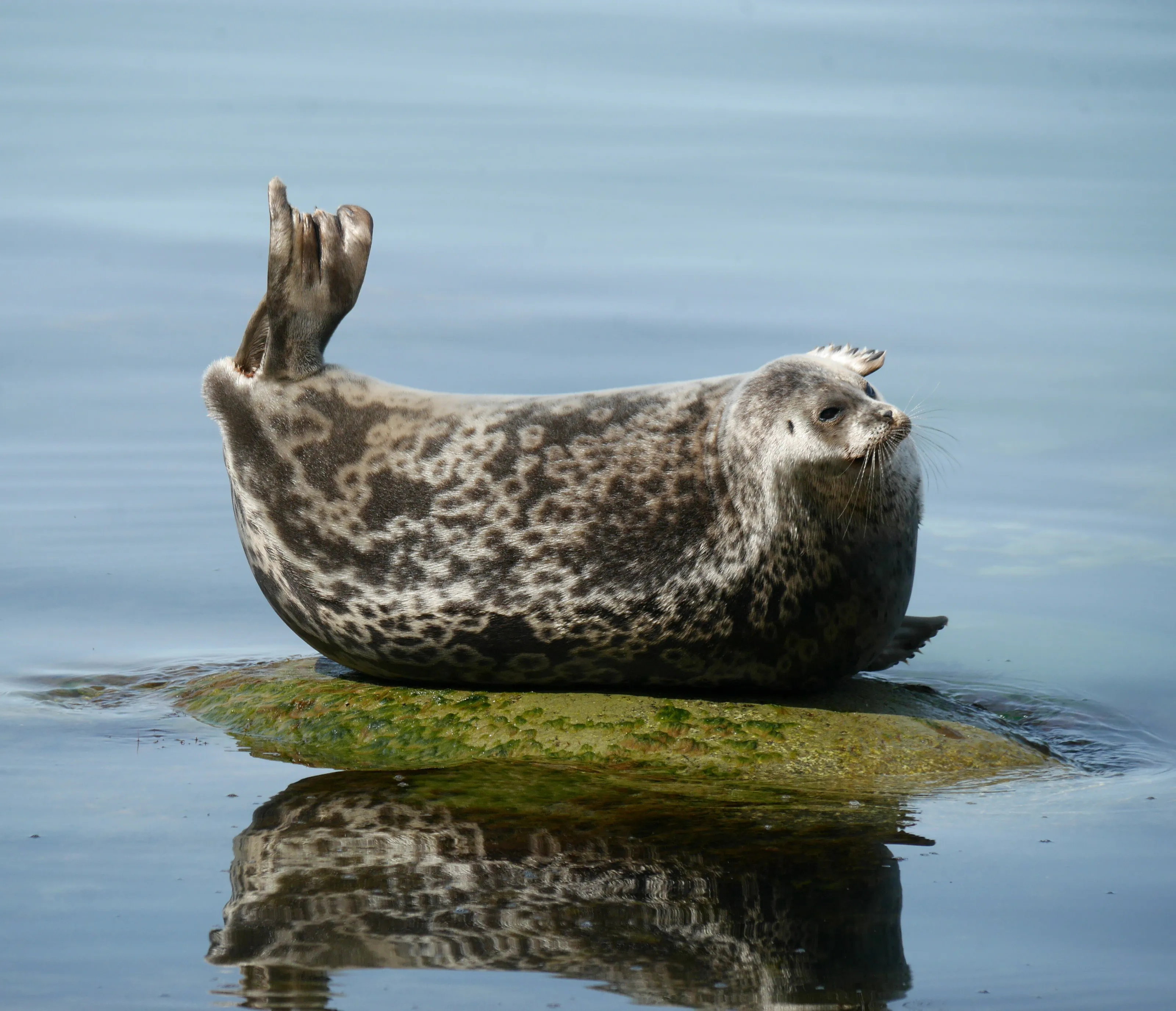 Good stretch