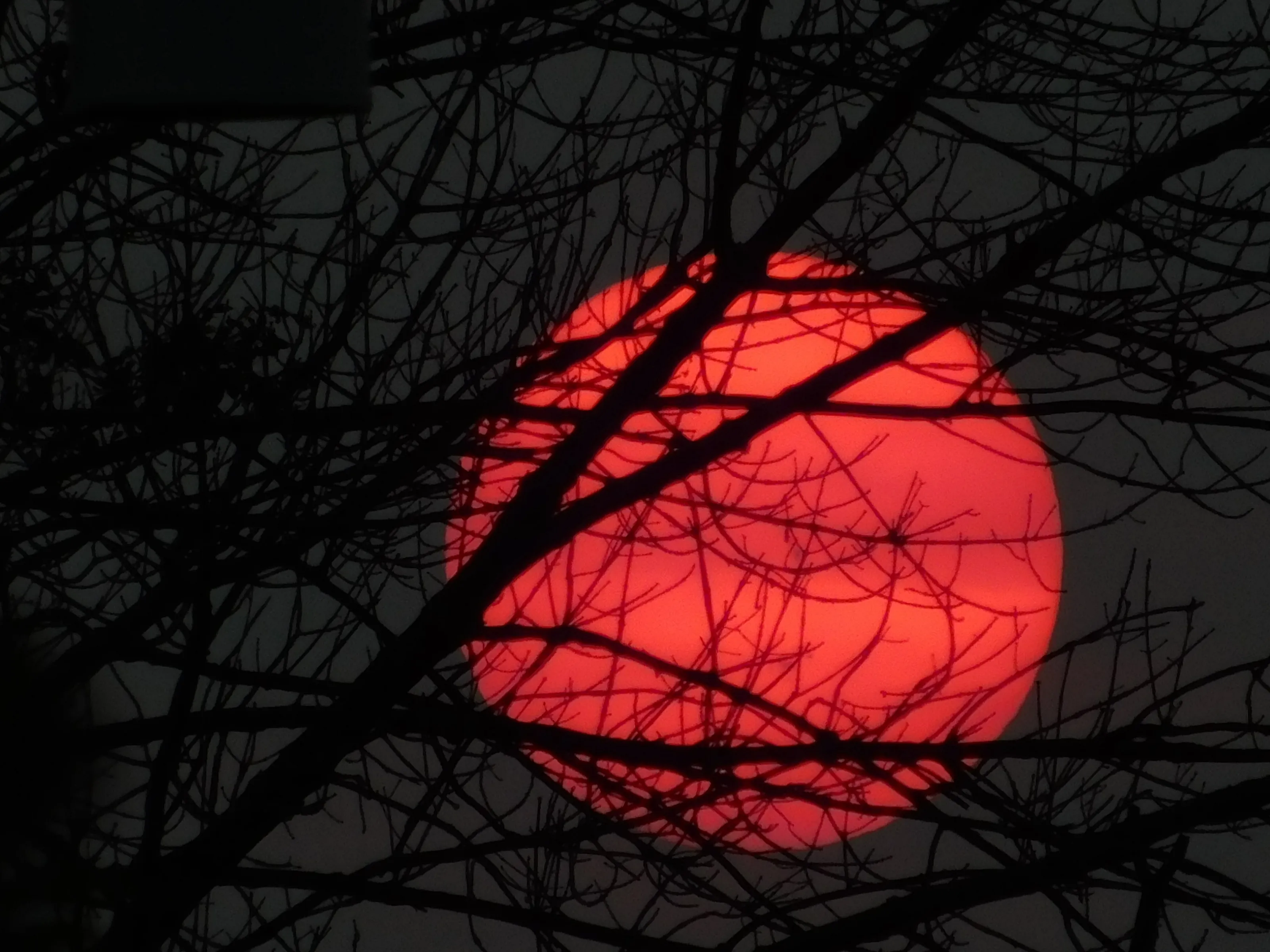Red September Sun