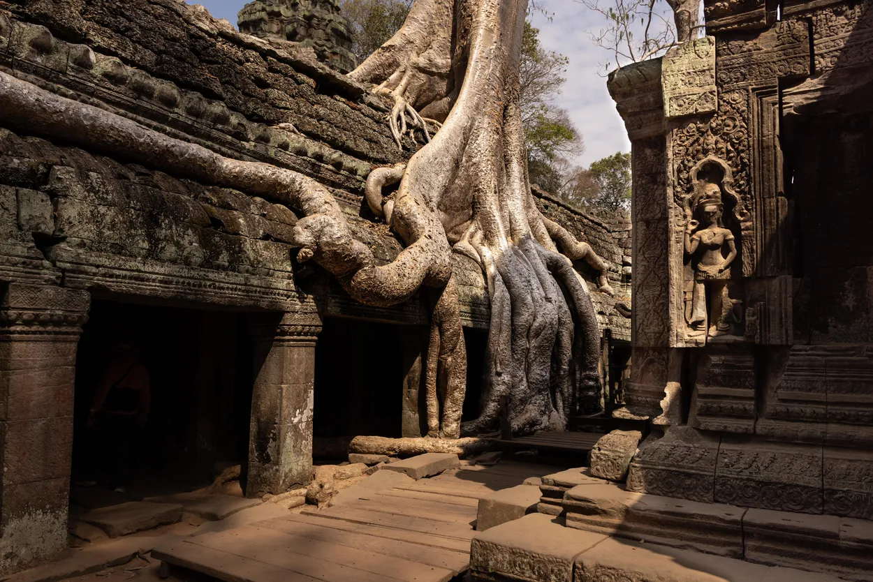 Ta Prohm