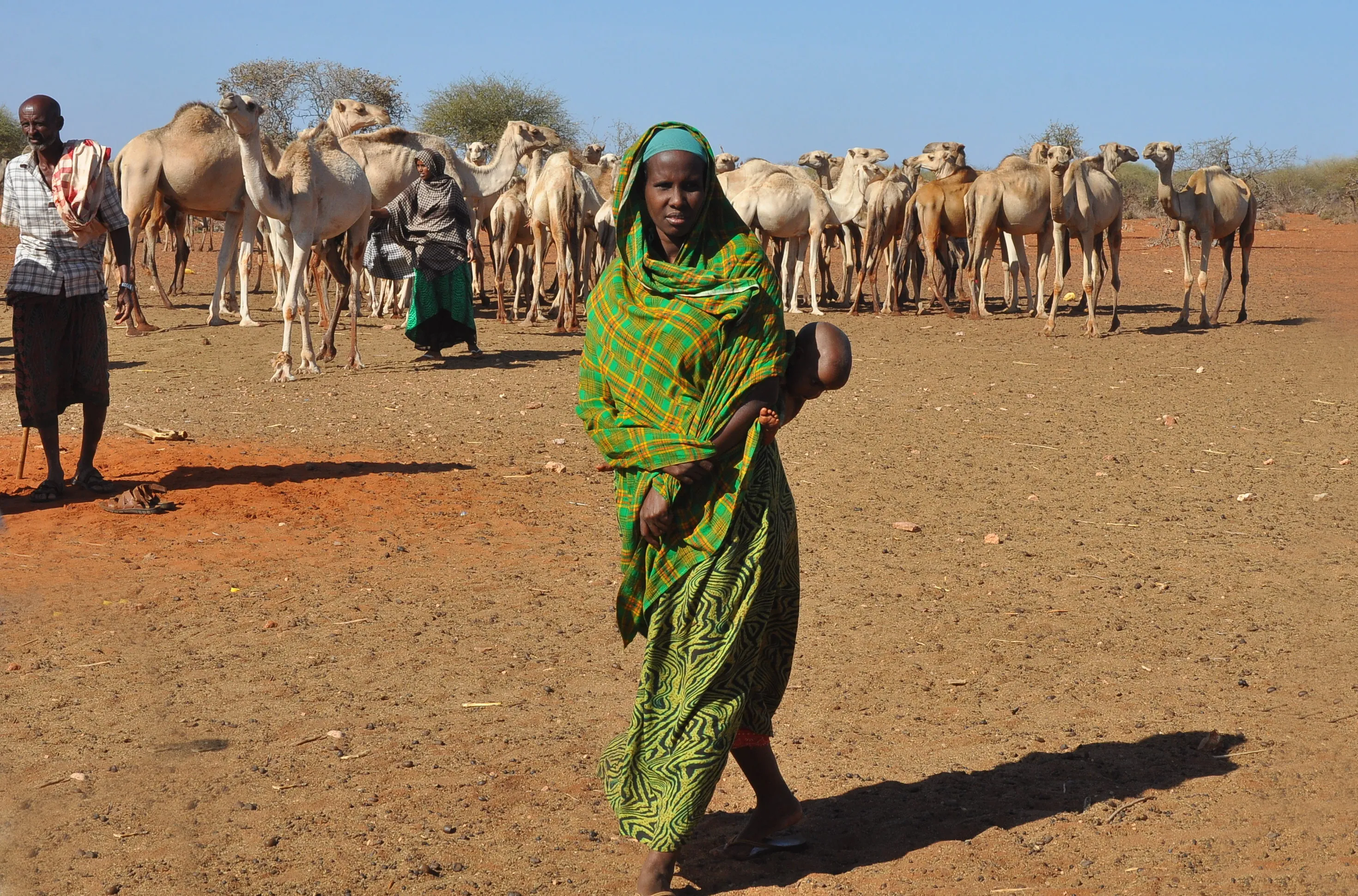 Matcher and child of desert area