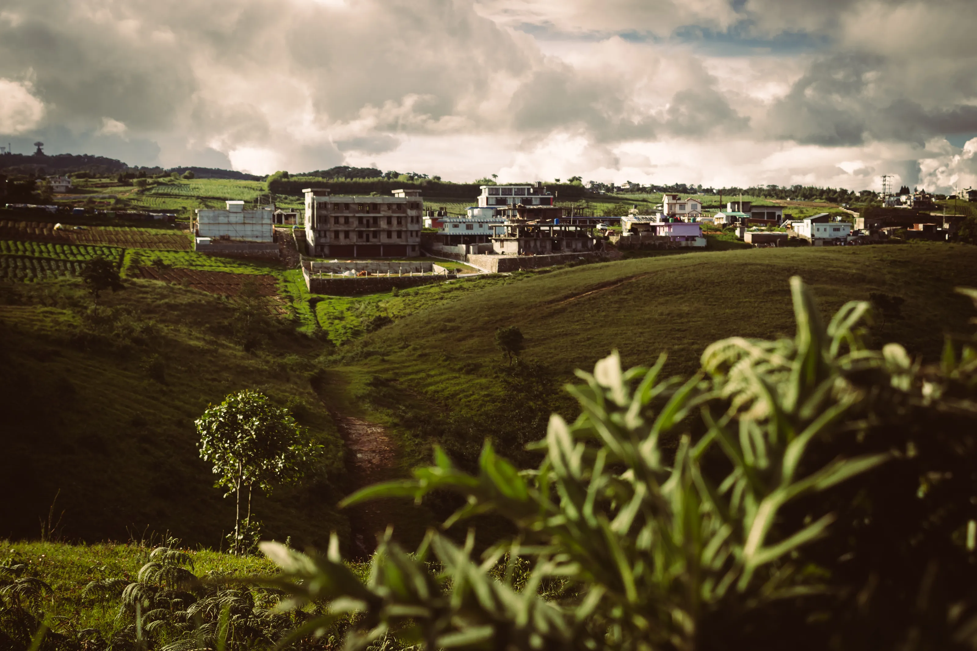 Wonder Hills