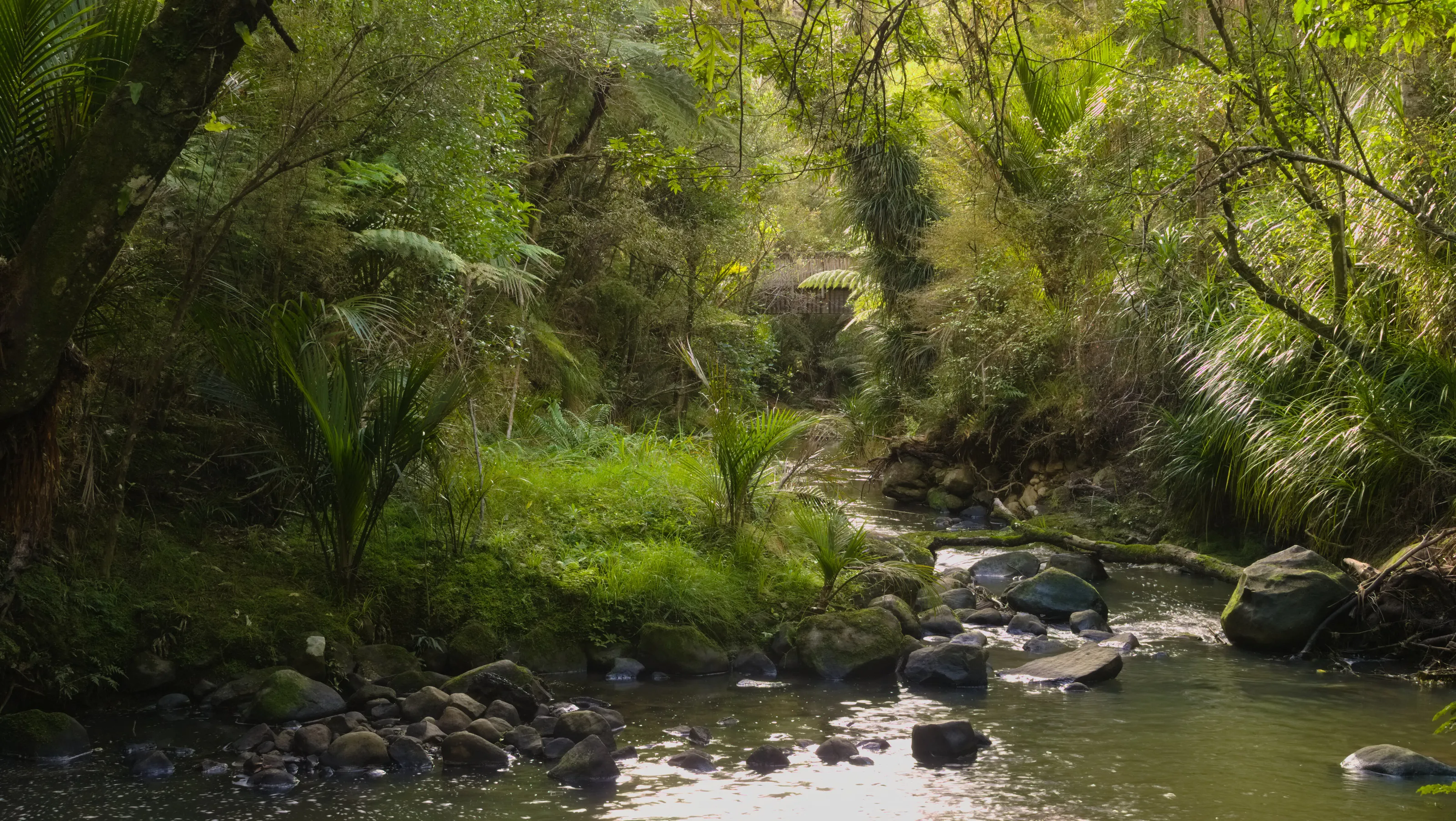 Woodland Creek