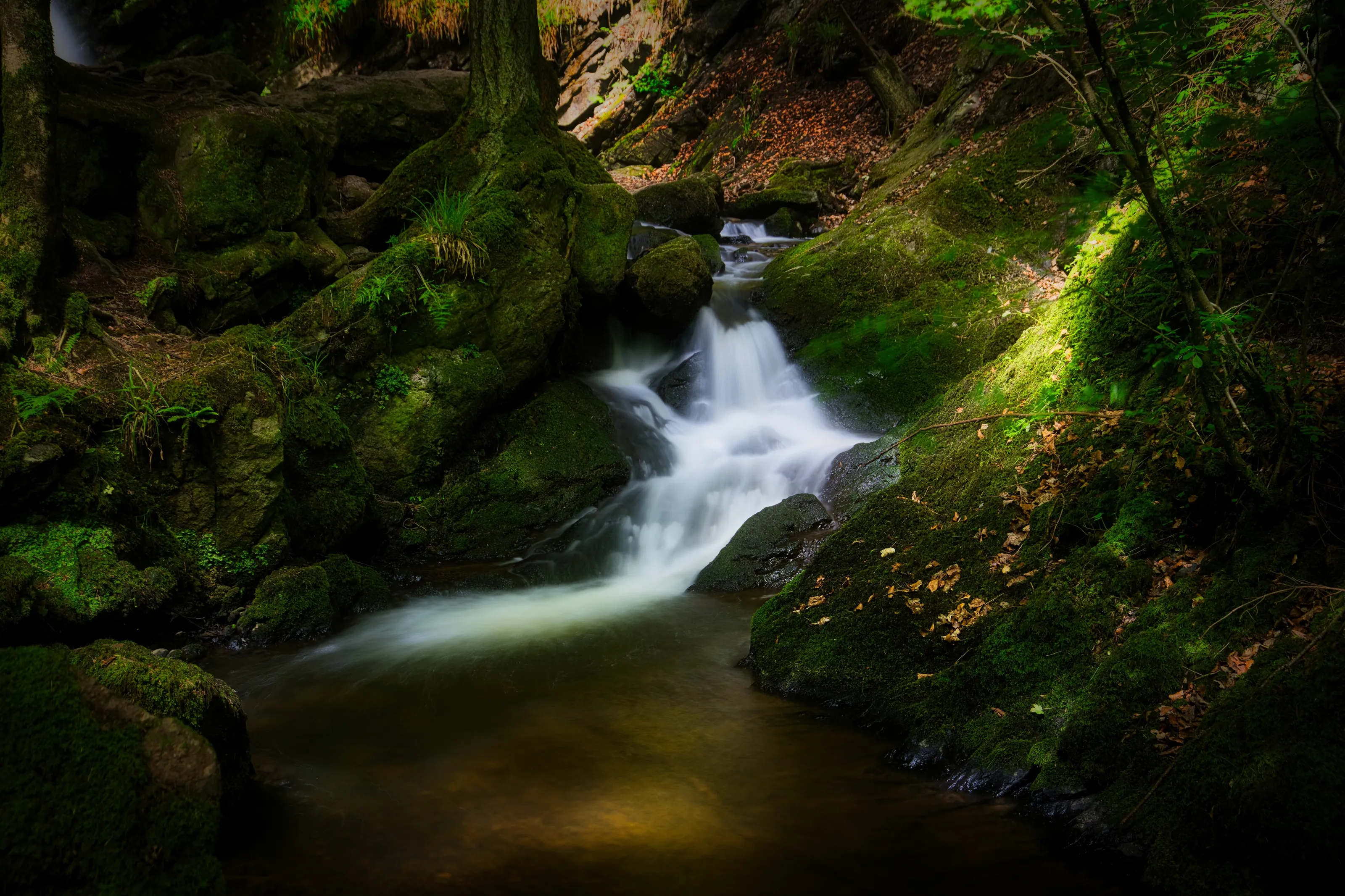 Little creek