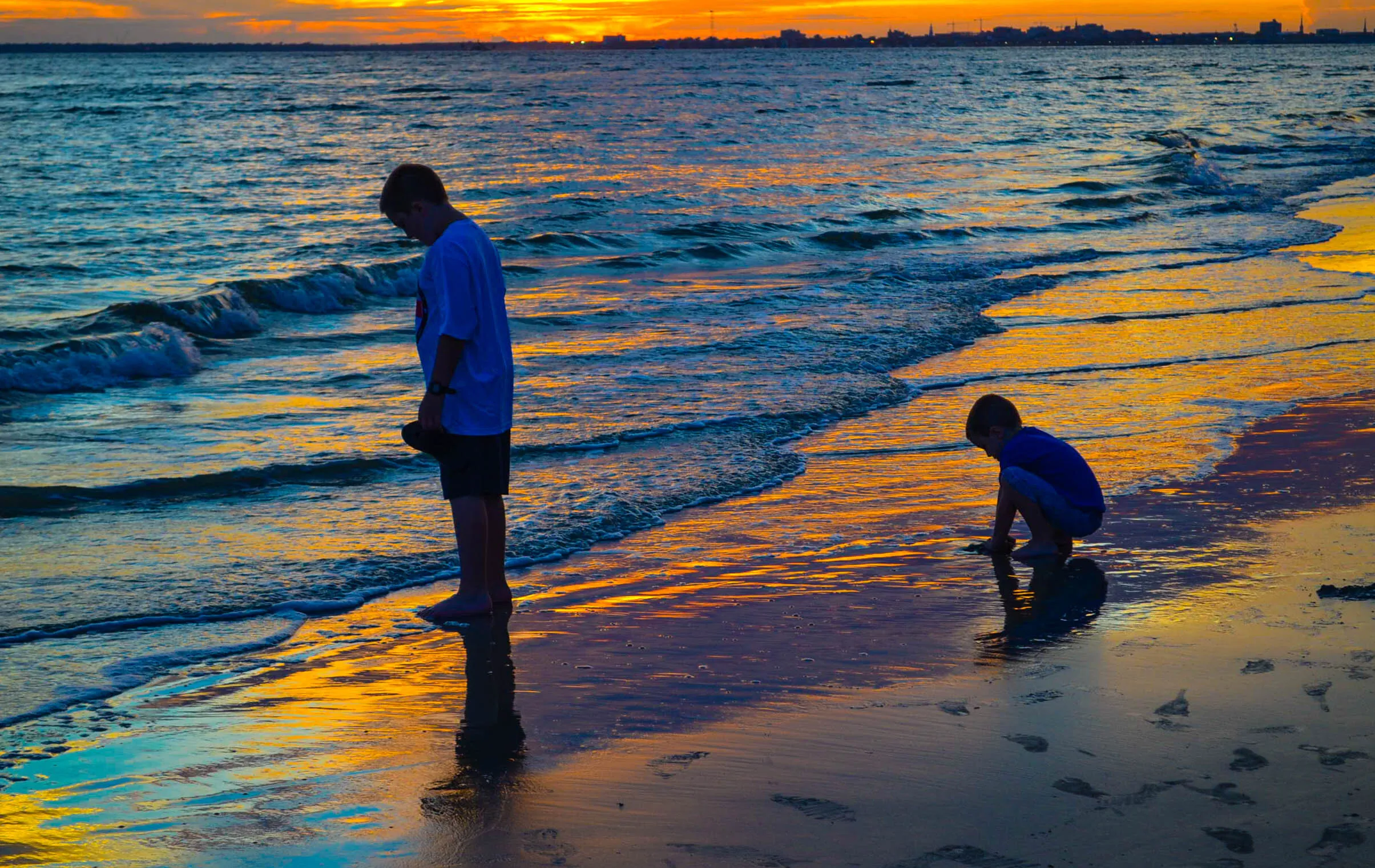 Looking for sea shells