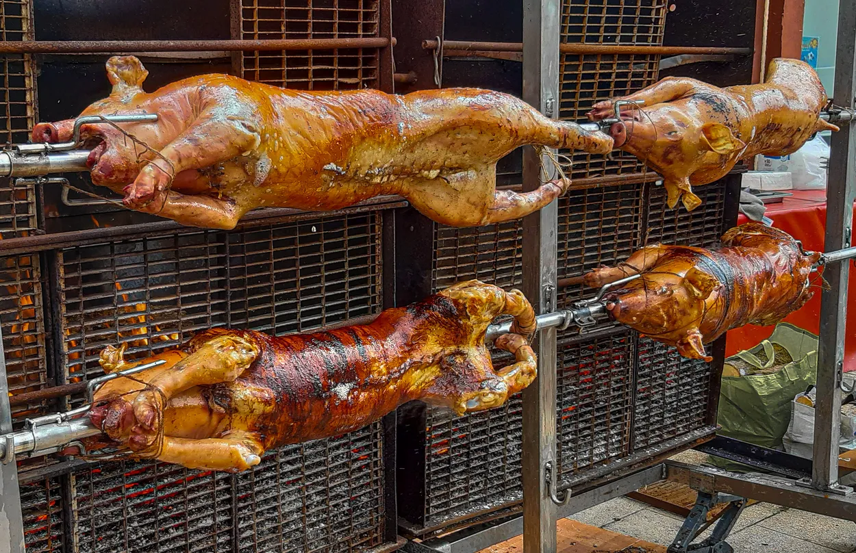 Entry 24900688