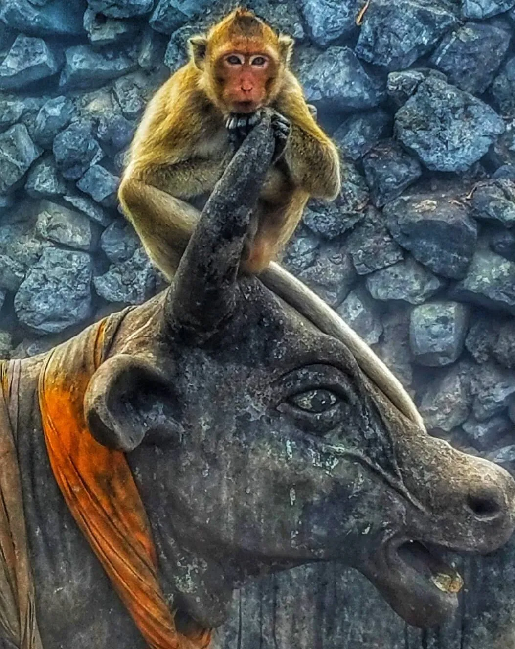 Monkey on an oxen statue