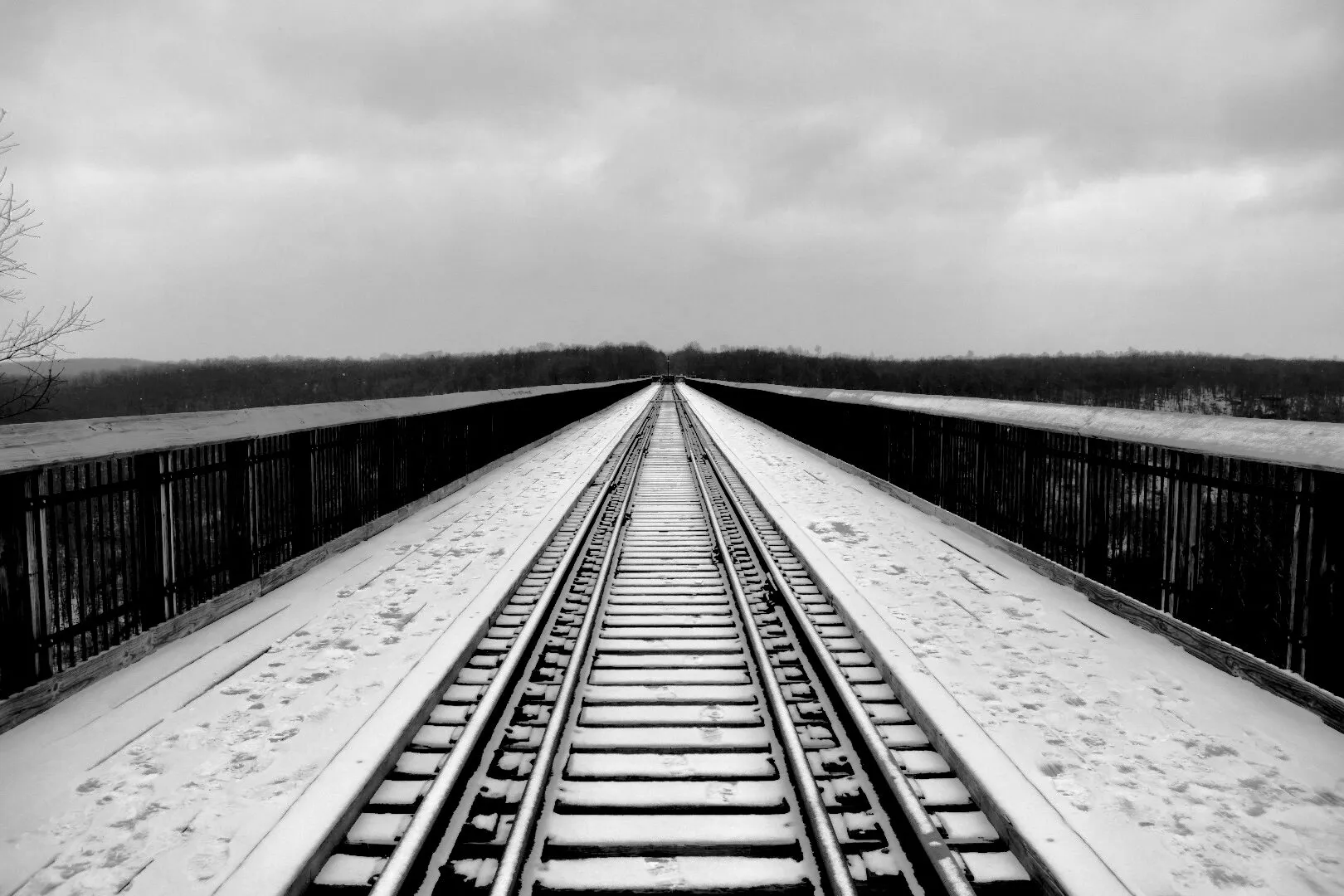 Train tracks in the show