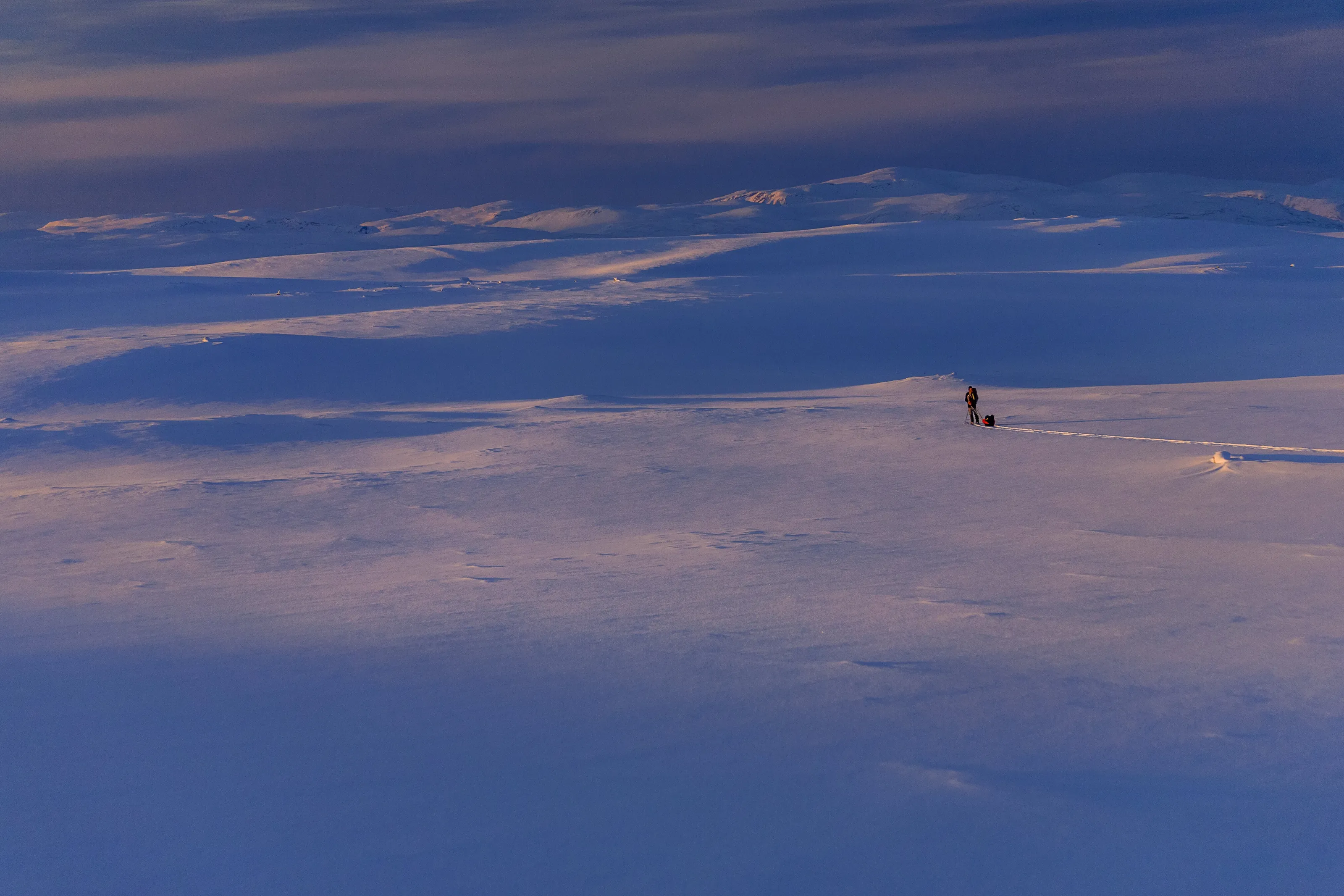 Finnmarksvidda