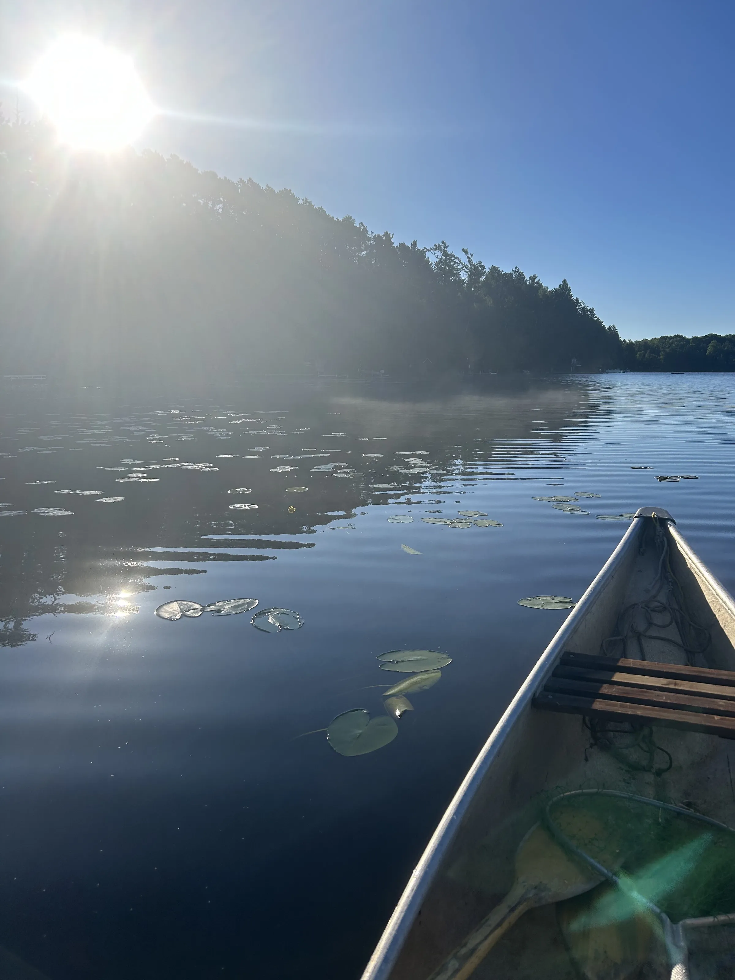 Morning Canoe