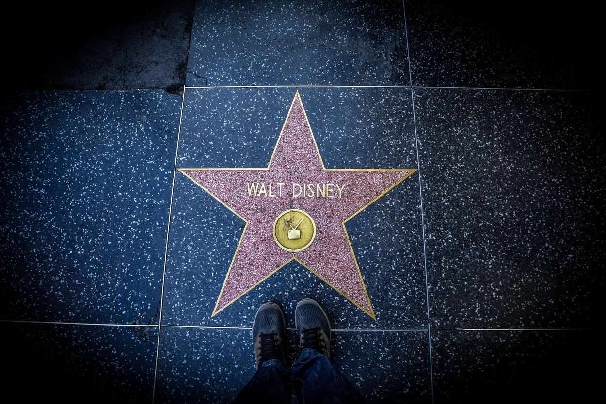 Entry 21325970