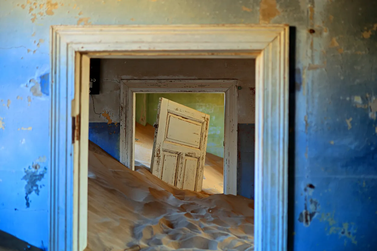 Entry 21205068