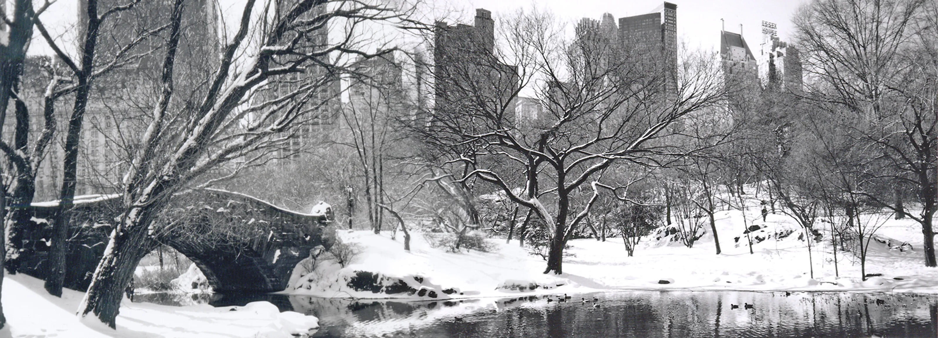 Love Brodge Winter Panorama Central Park NYC