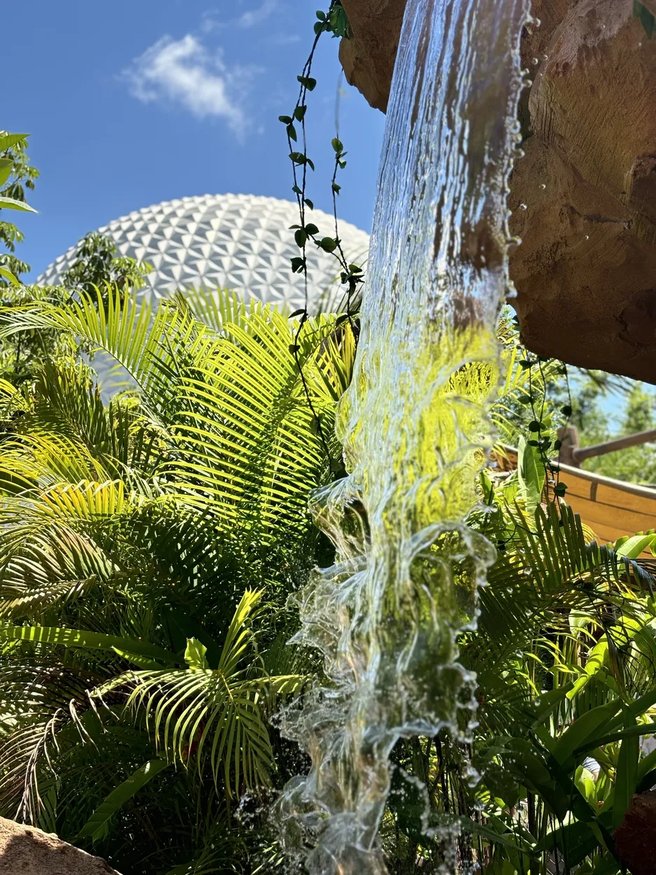 Entry 21206885