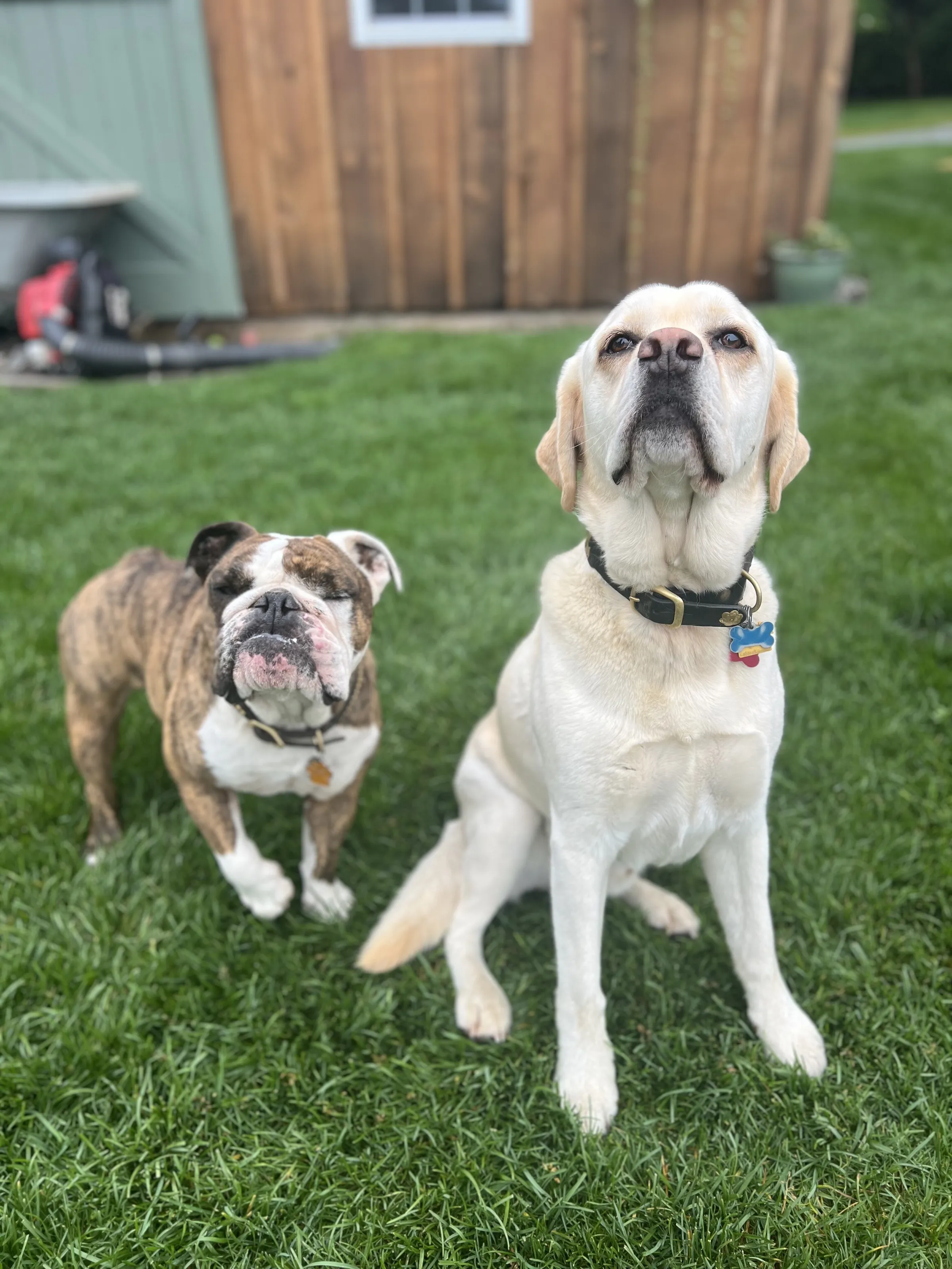 Posers