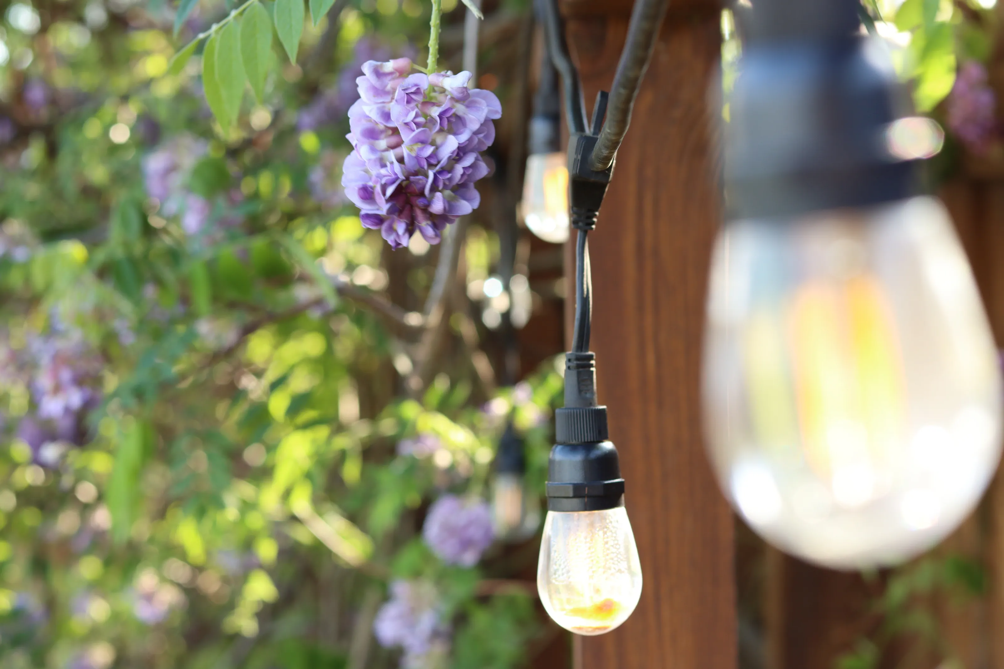Water-Filled Bulbs