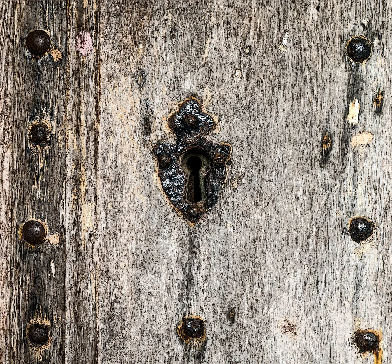 Entry 21207511