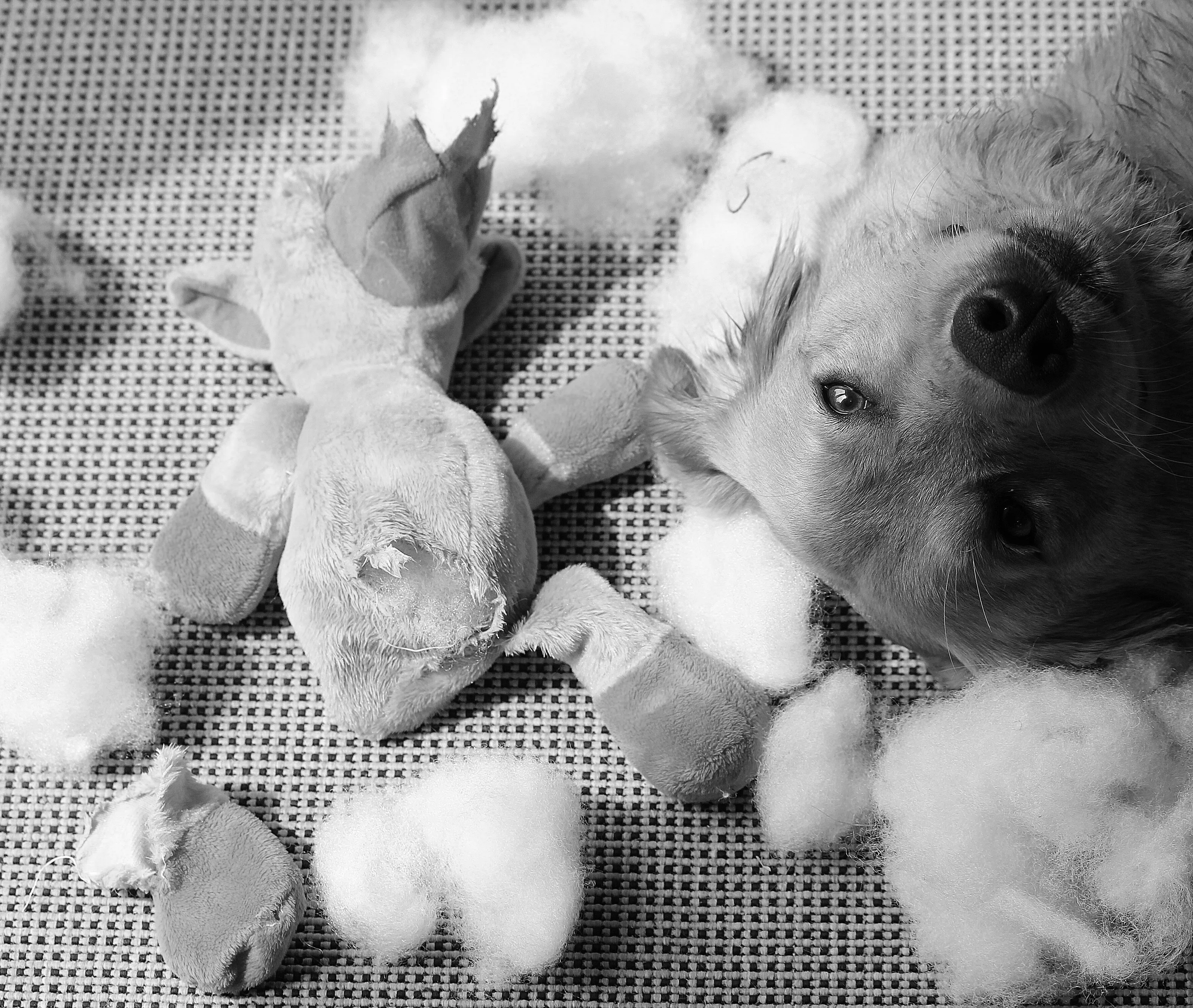 It wasn't me