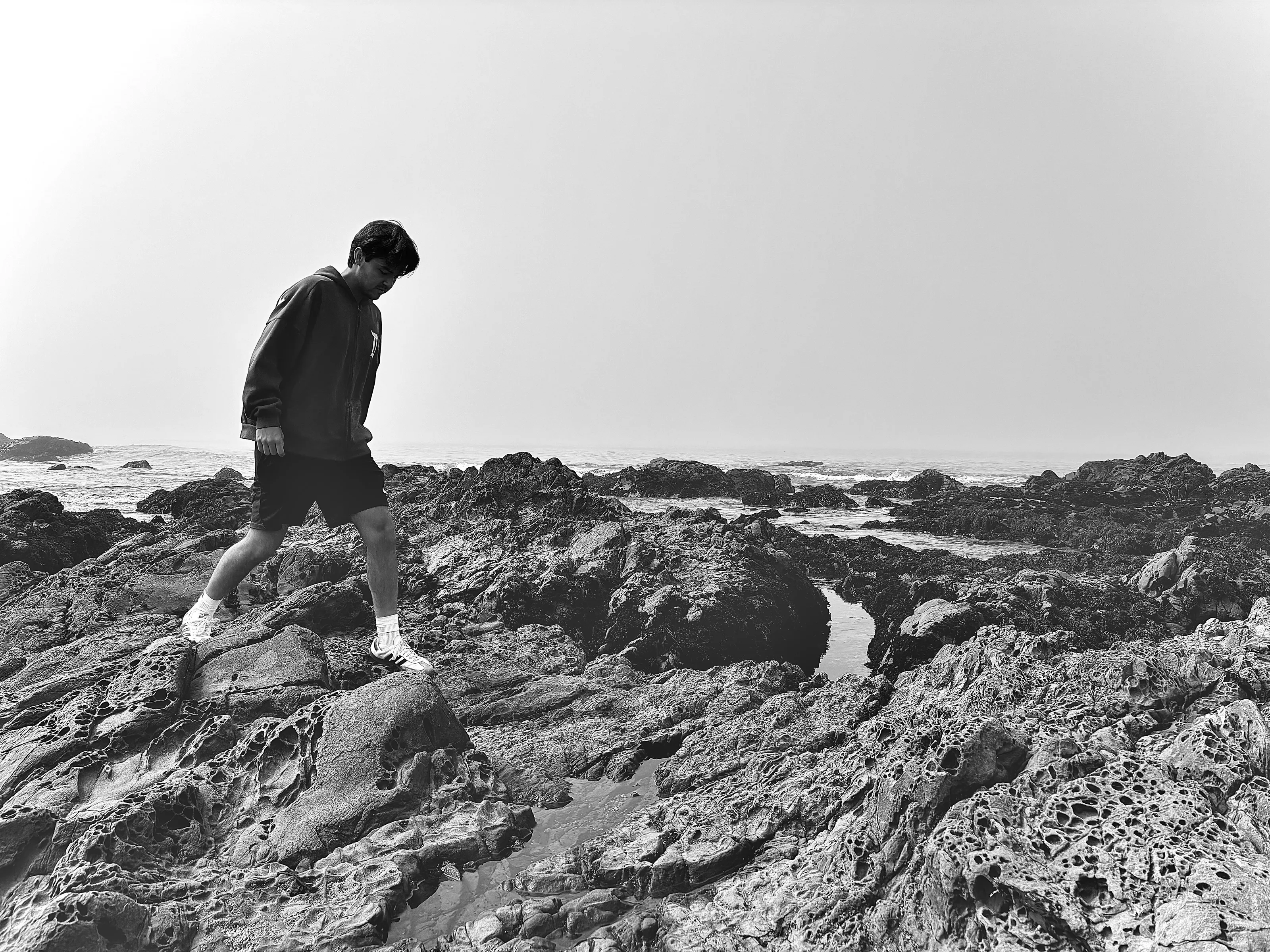 Seaside Dreamers