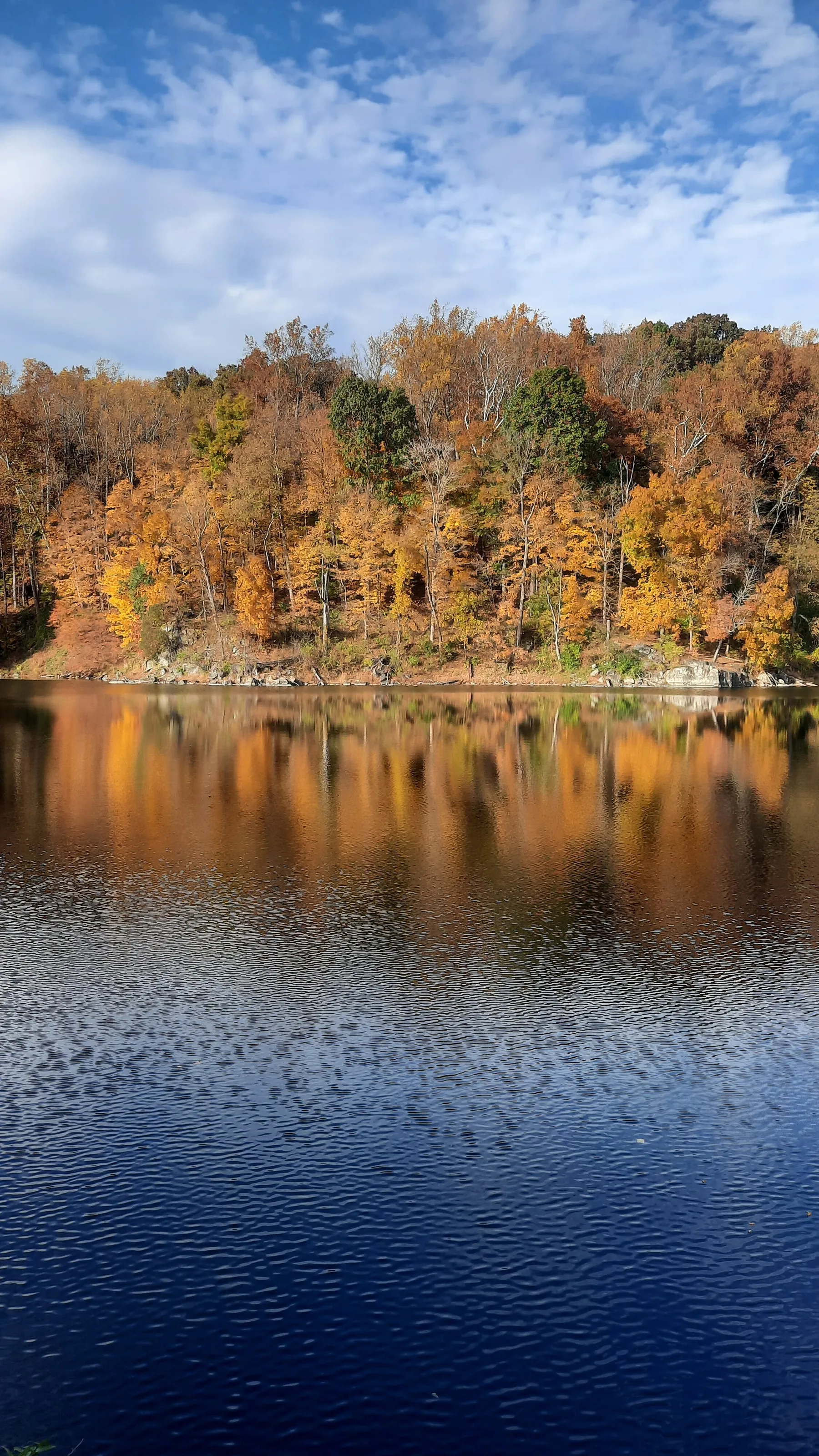 Fall  colors at Great Falls