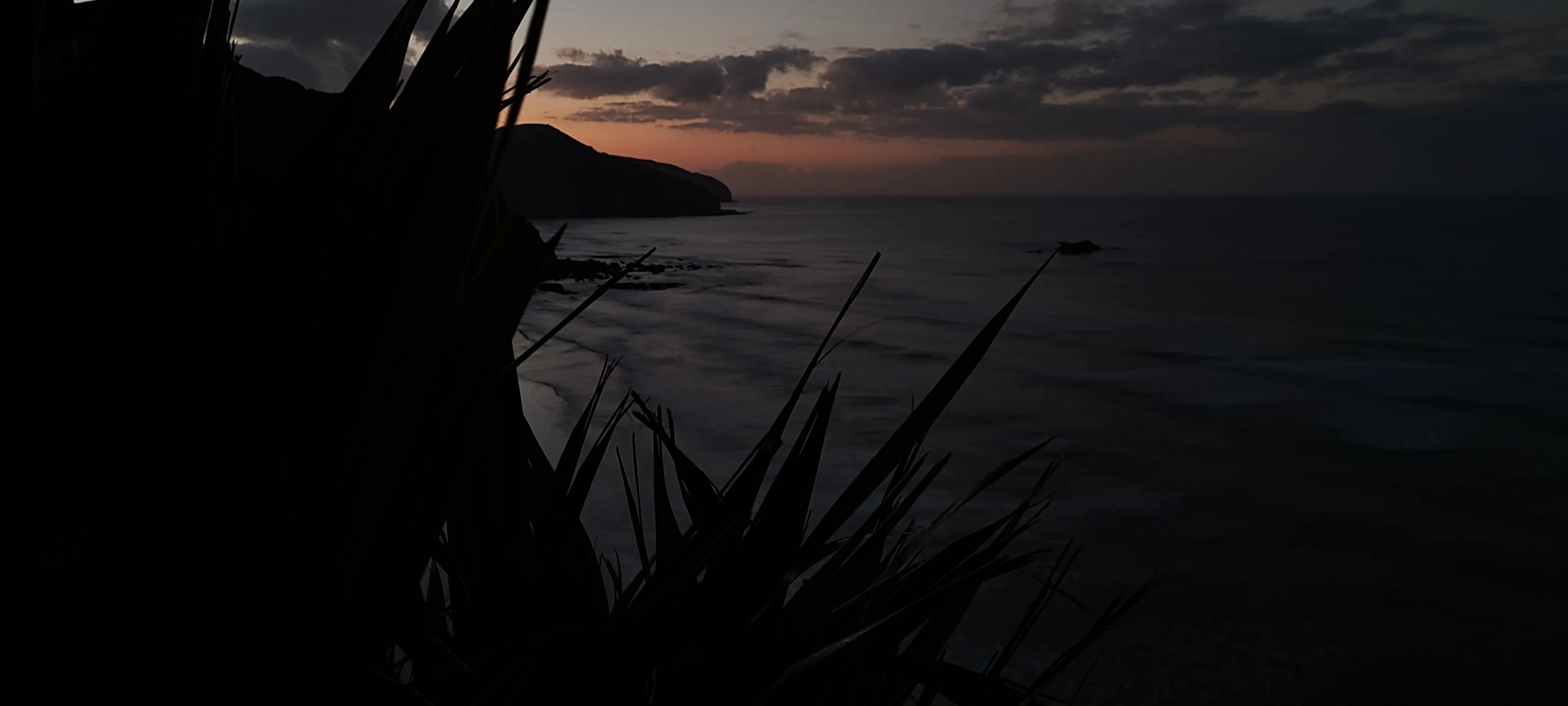 Muriwaii's Awakening