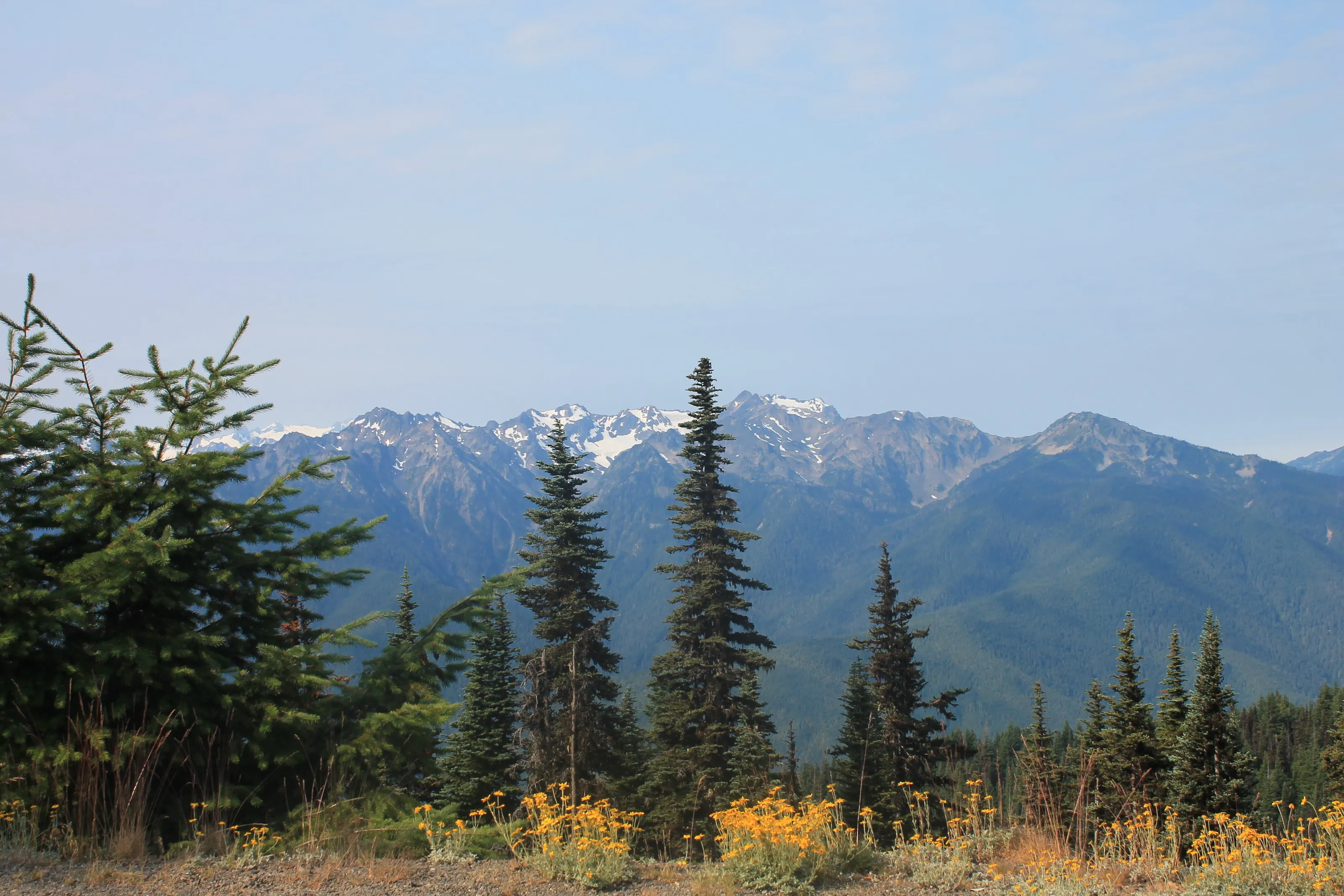 Olympic WA