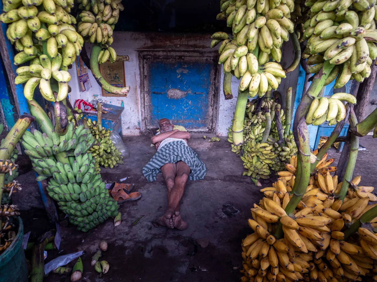 Gone Bananas, Asleep on the Job, Kearala, India