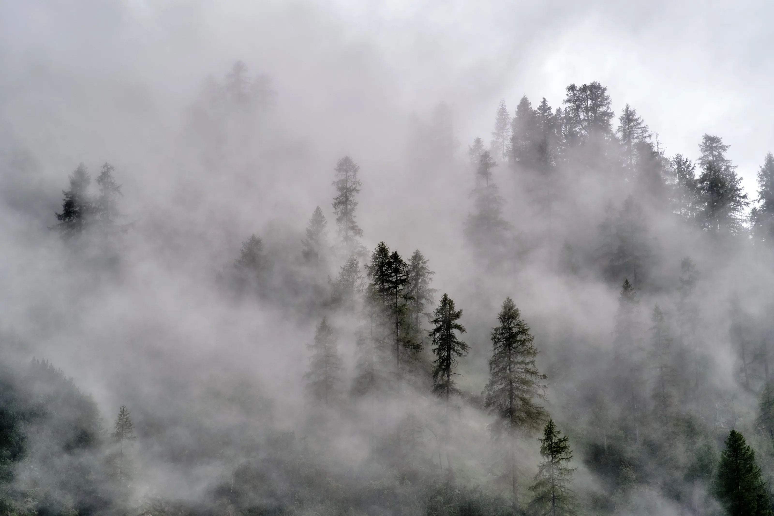Floating clouds