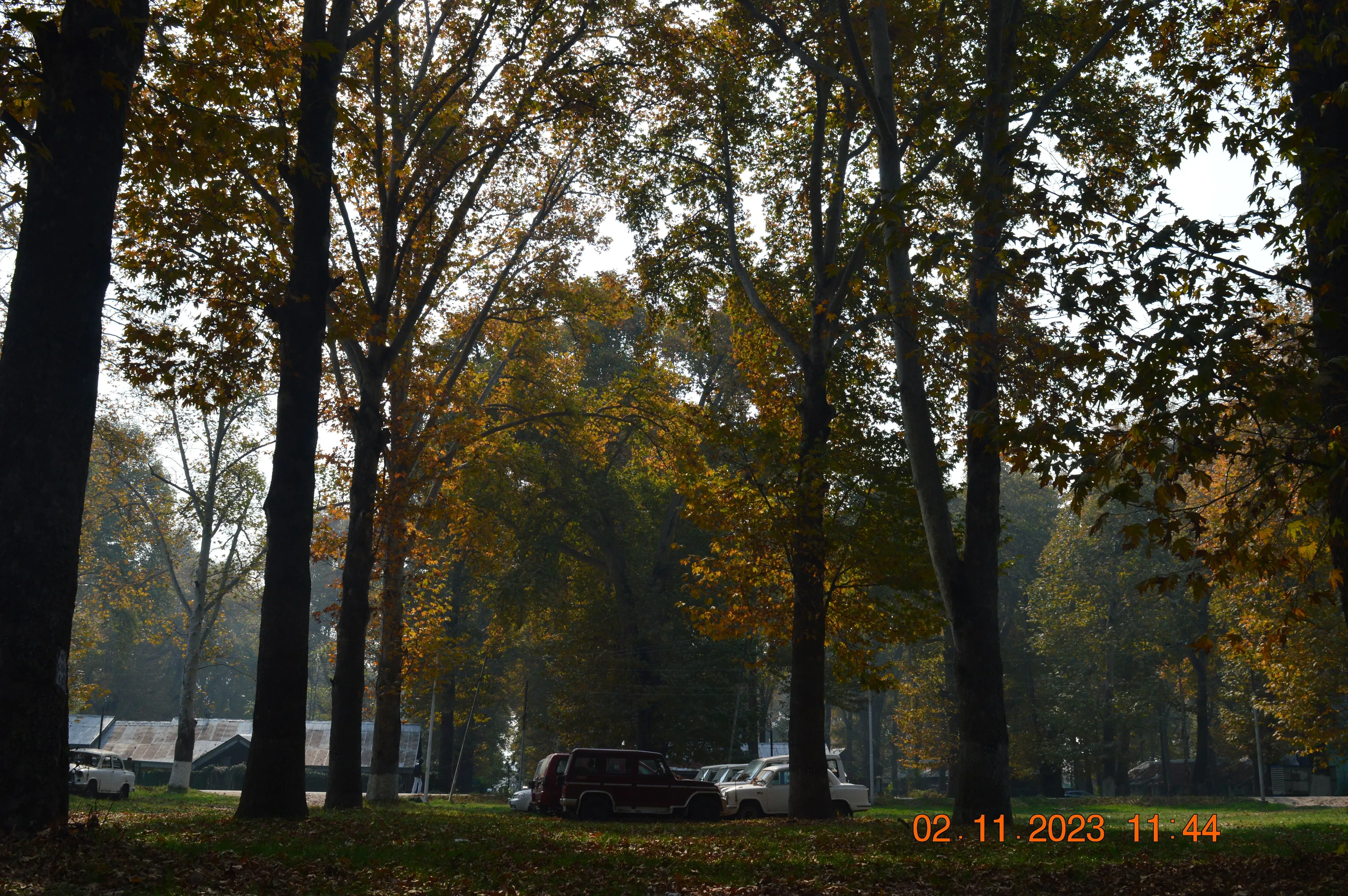 Naseem Bagh