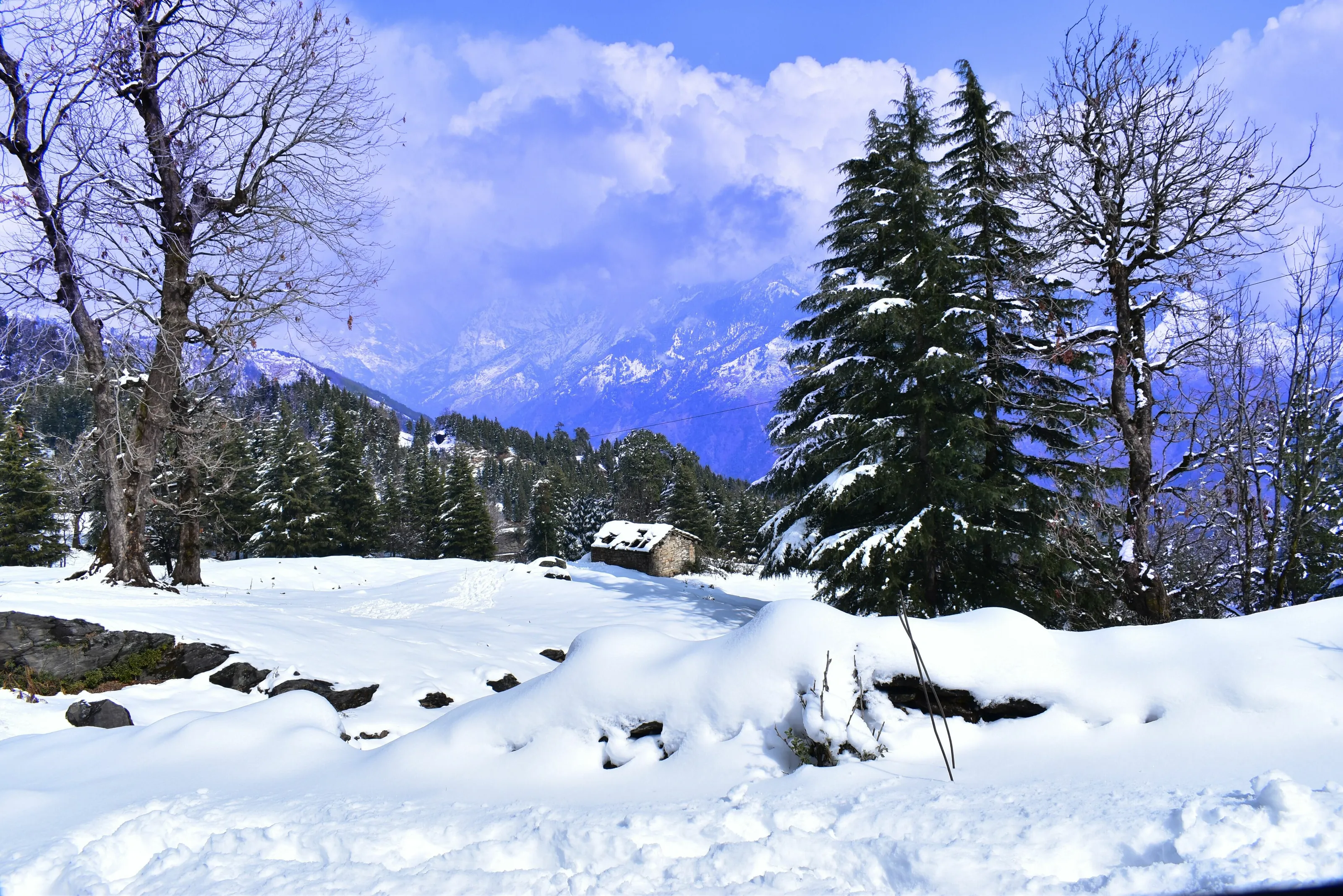 The Majestic Mountains