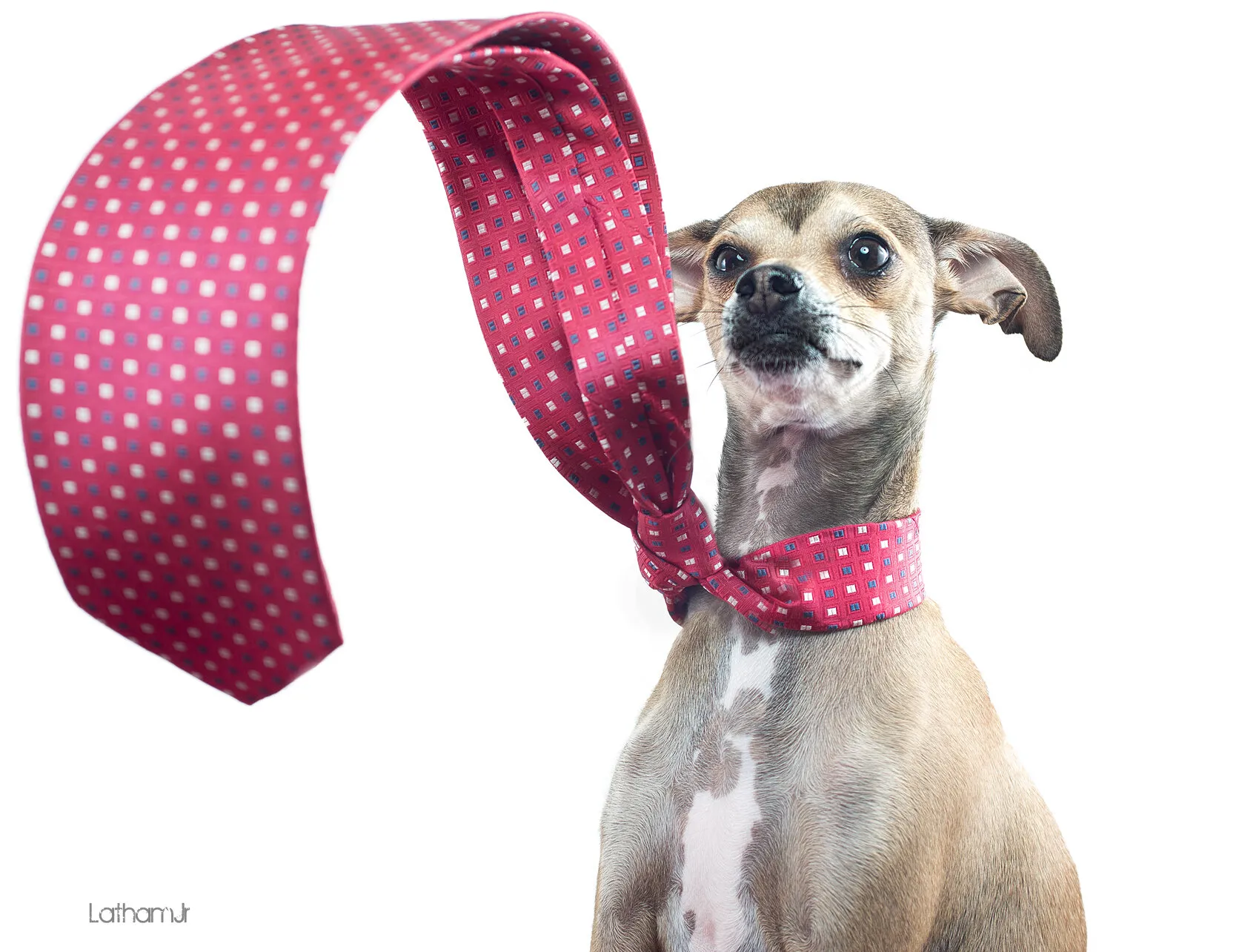 Dexter & his tie