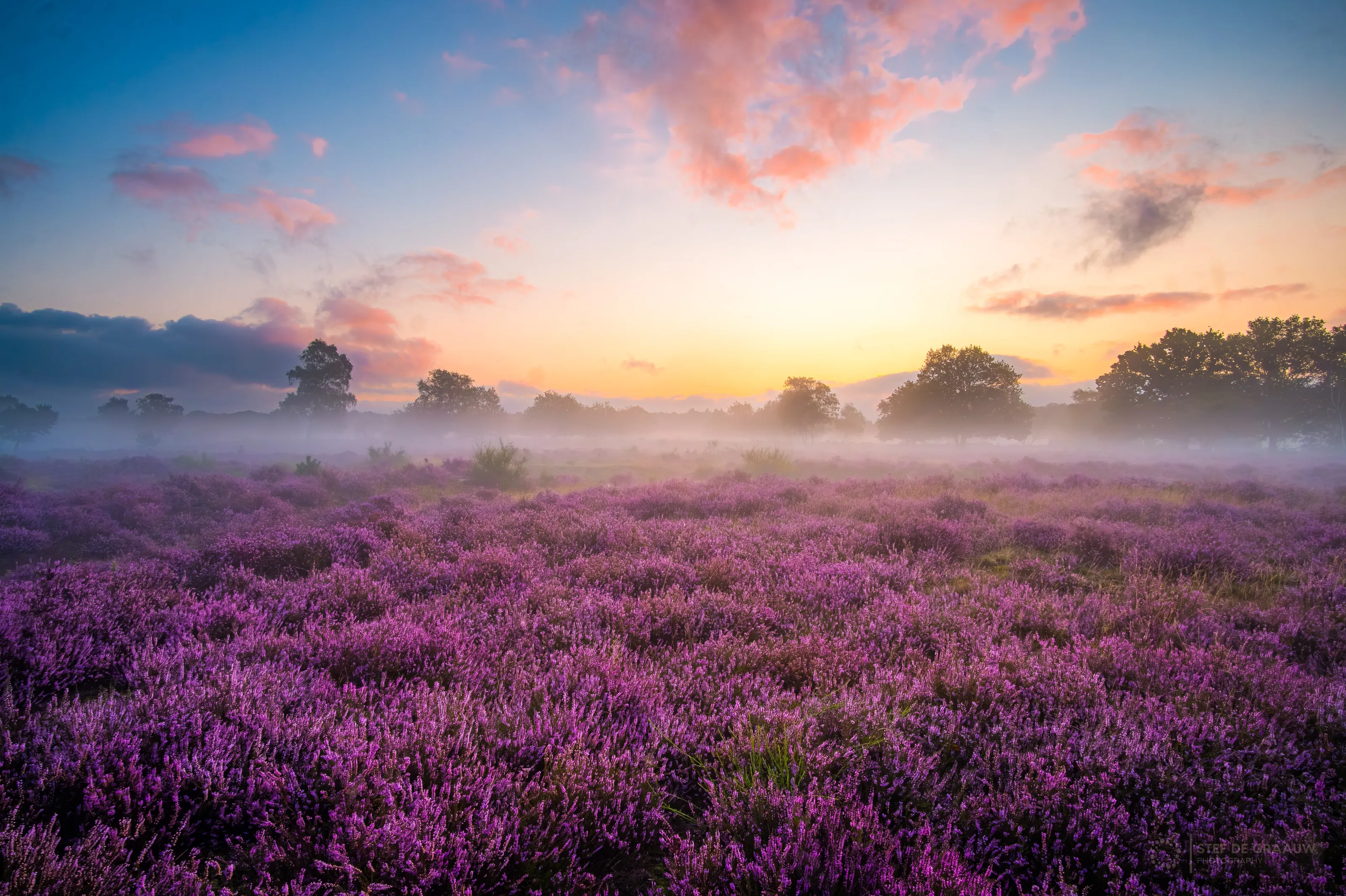 Westerheide
