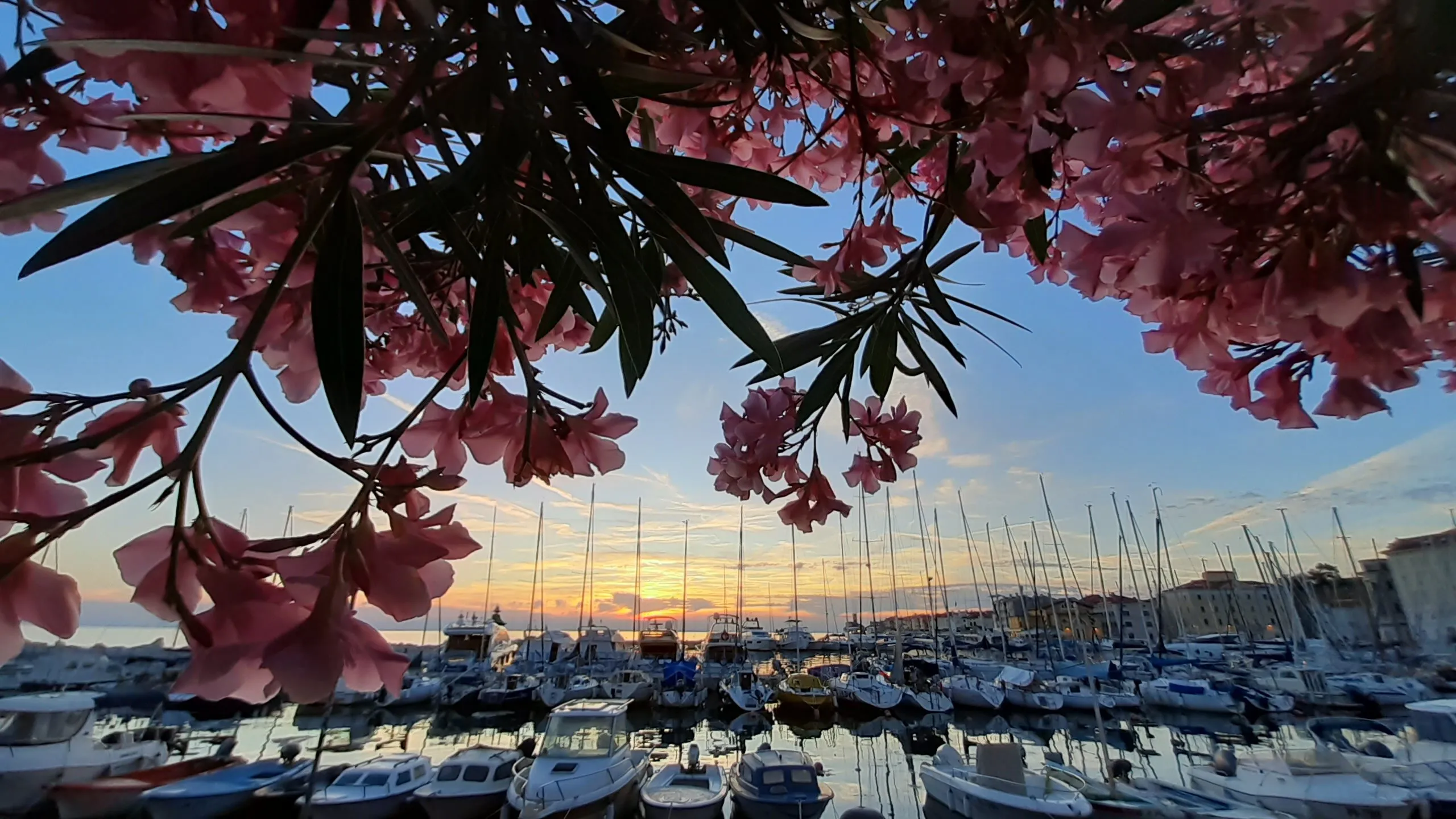 Marine view