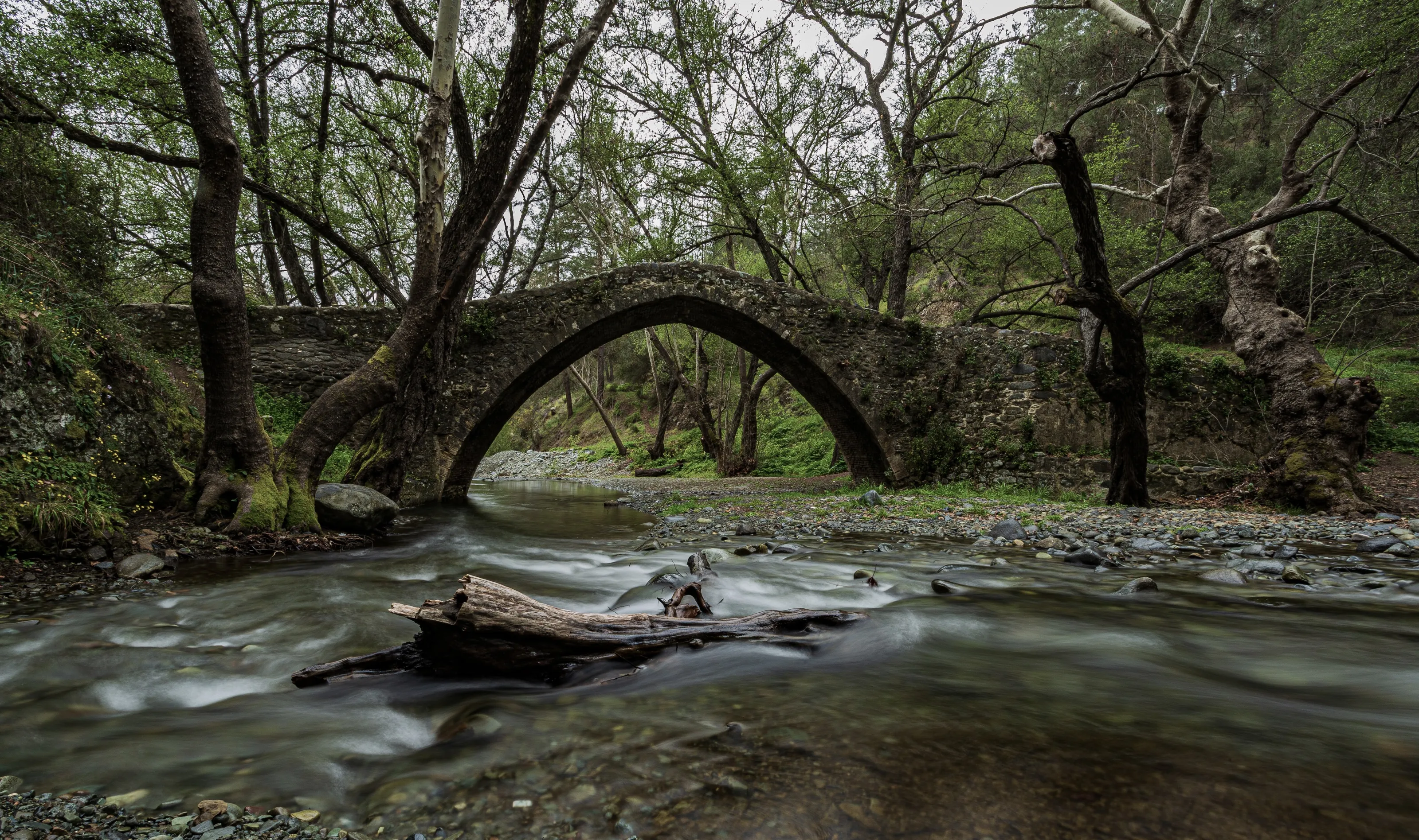 Bridge