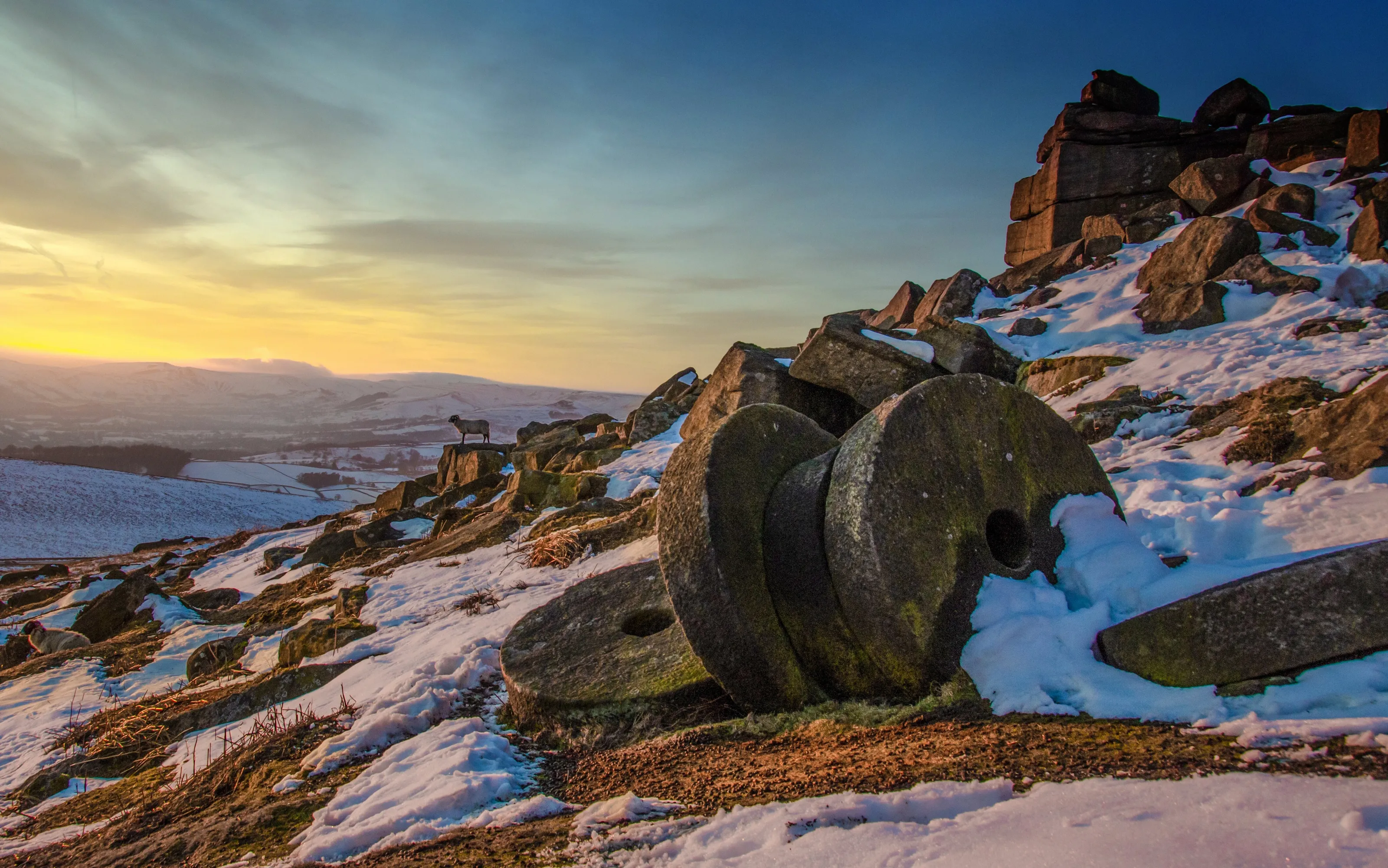Mill Stones and Sheep