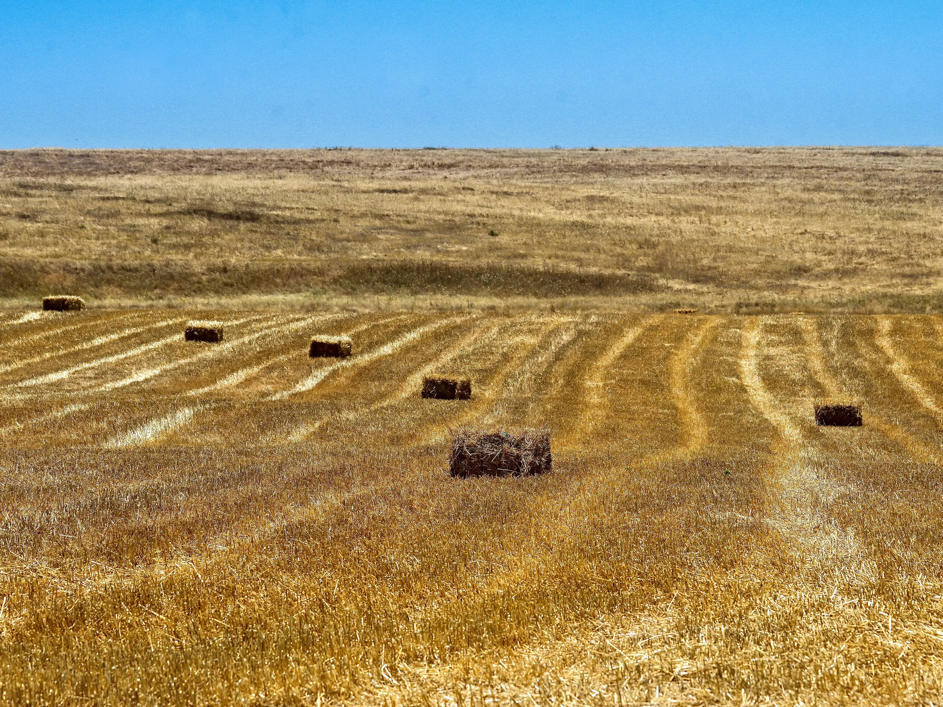 Alentejo forever