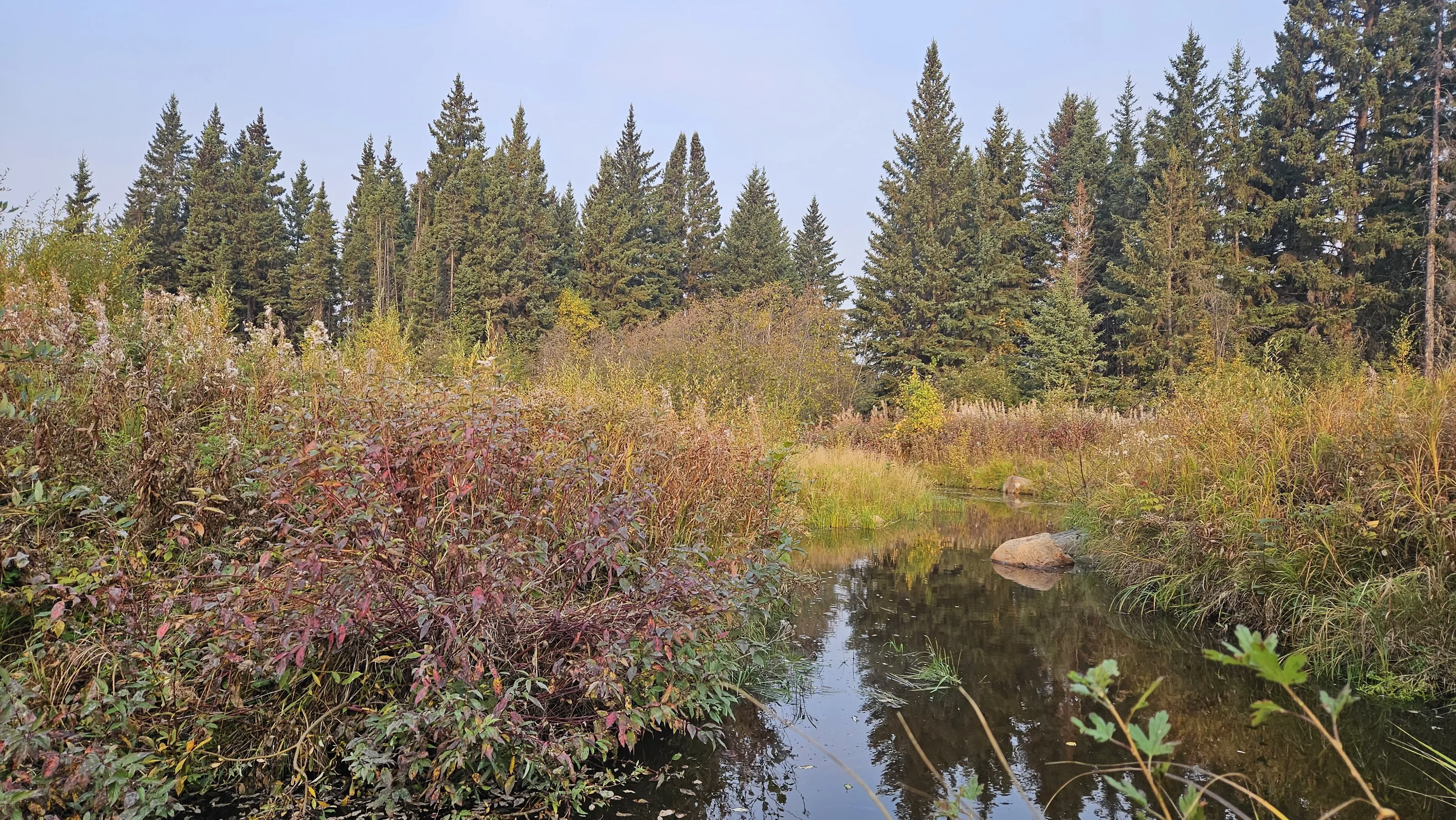Autumn colors