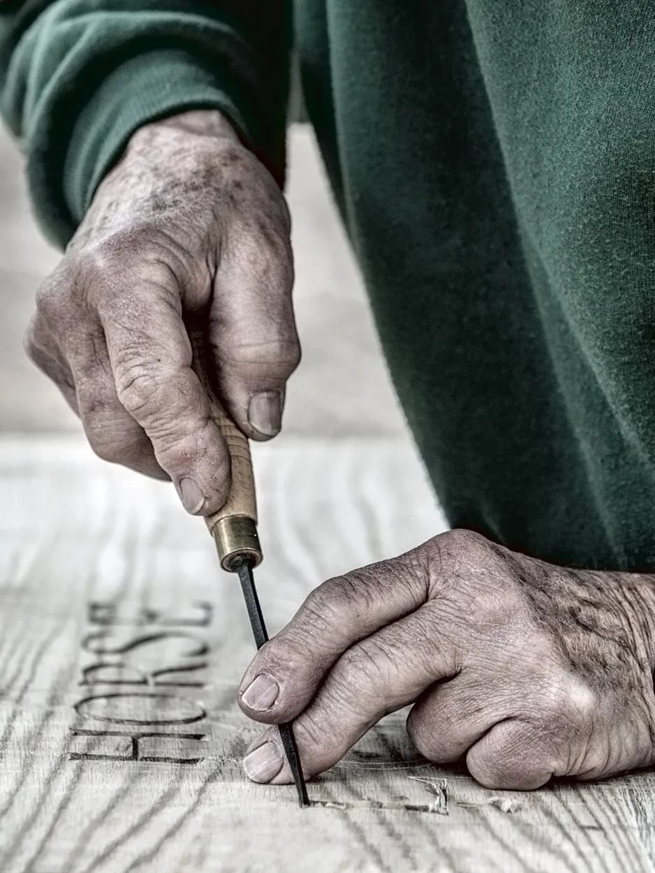 Entry 22457087