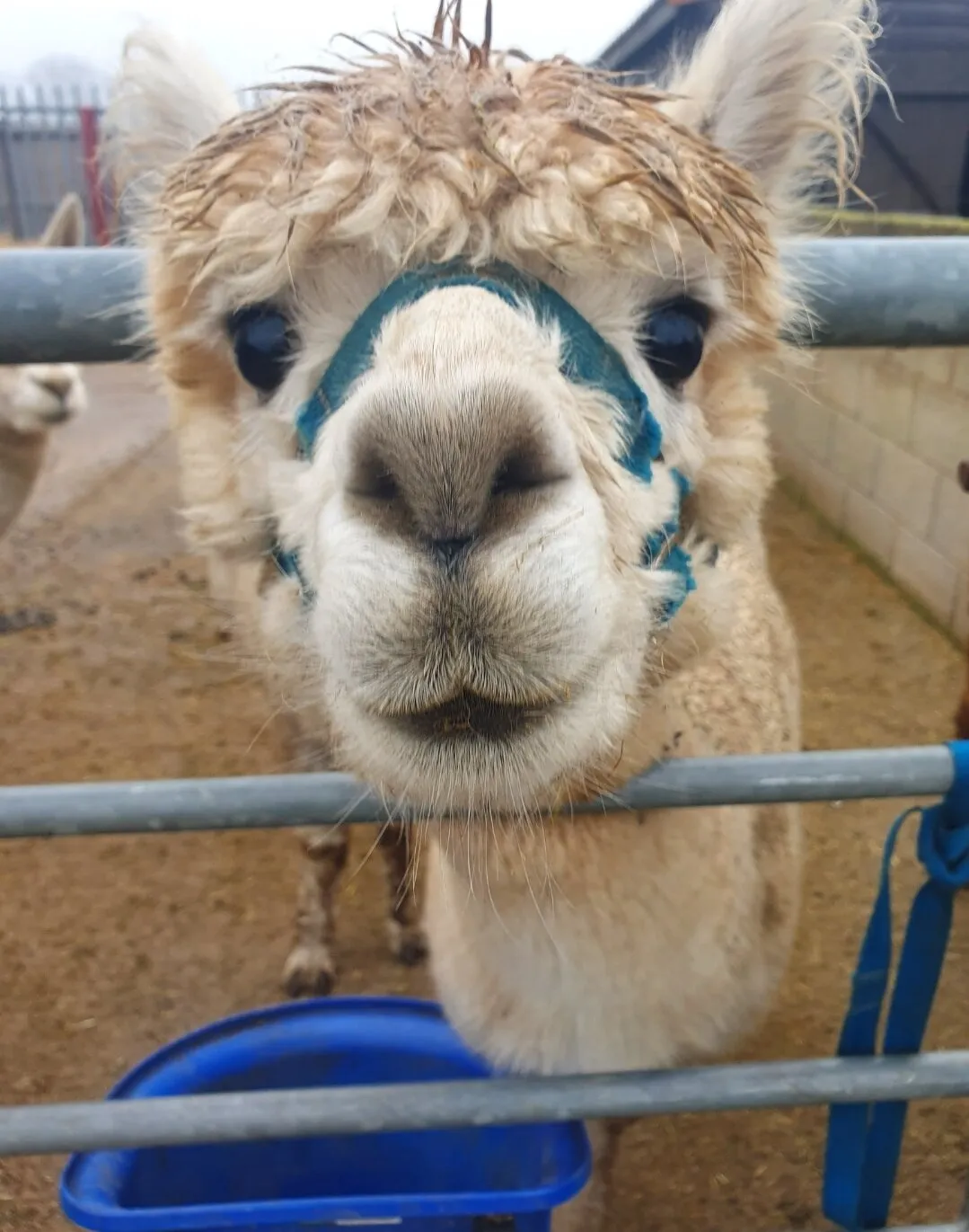 Hello there