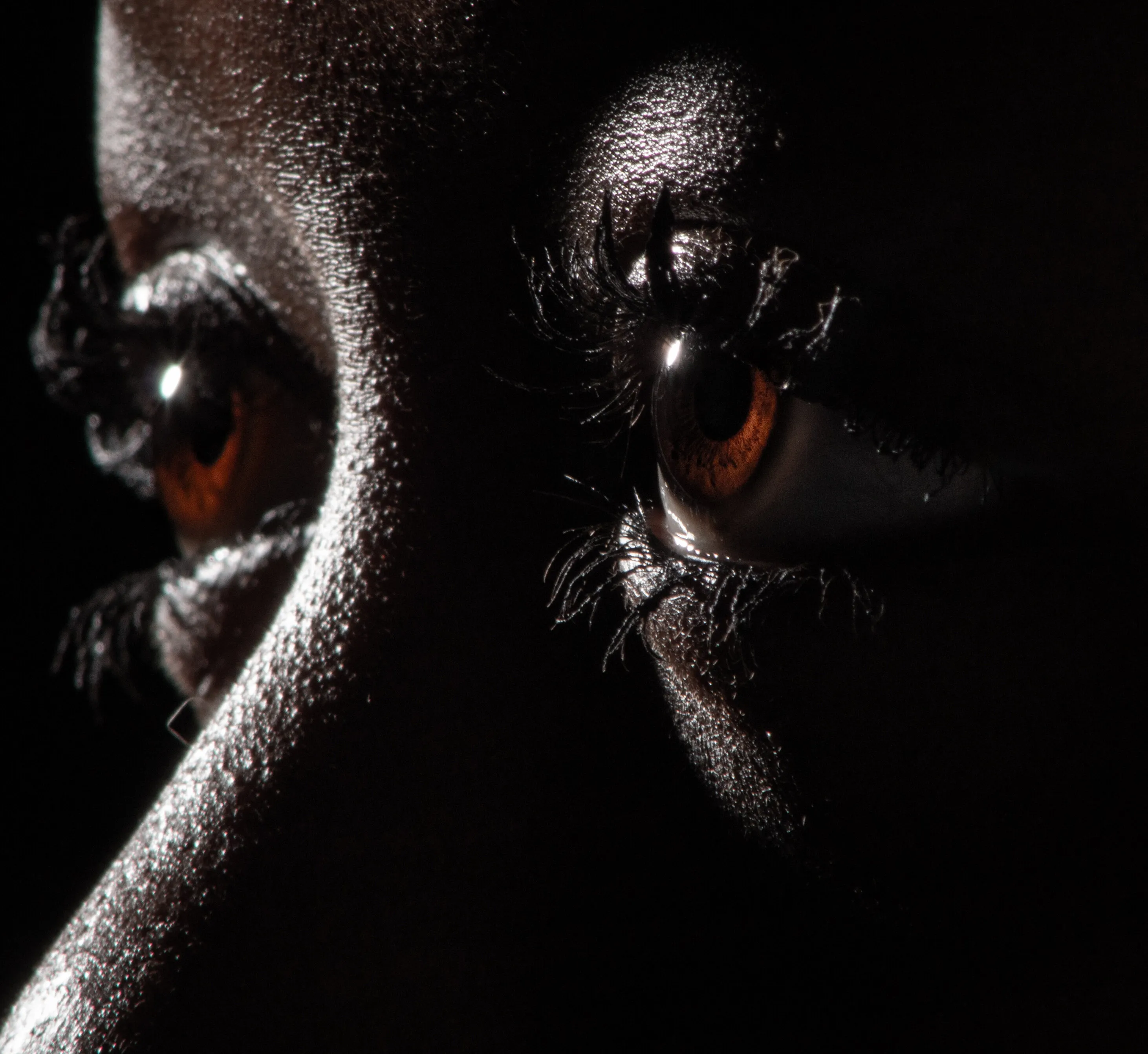 Fire Eyes