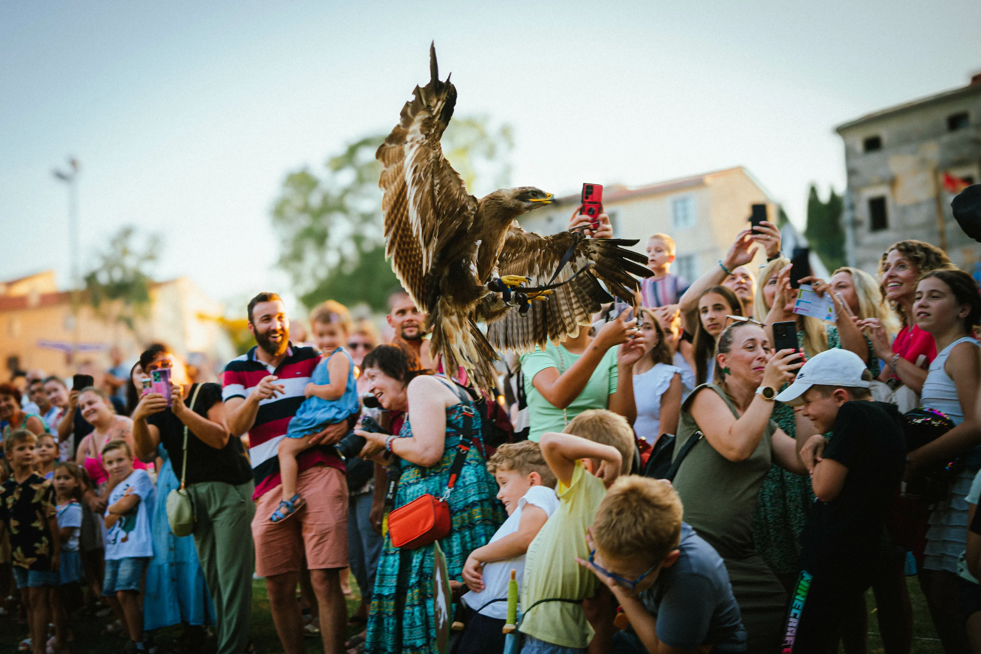 Eagle fly at Medieval Festival