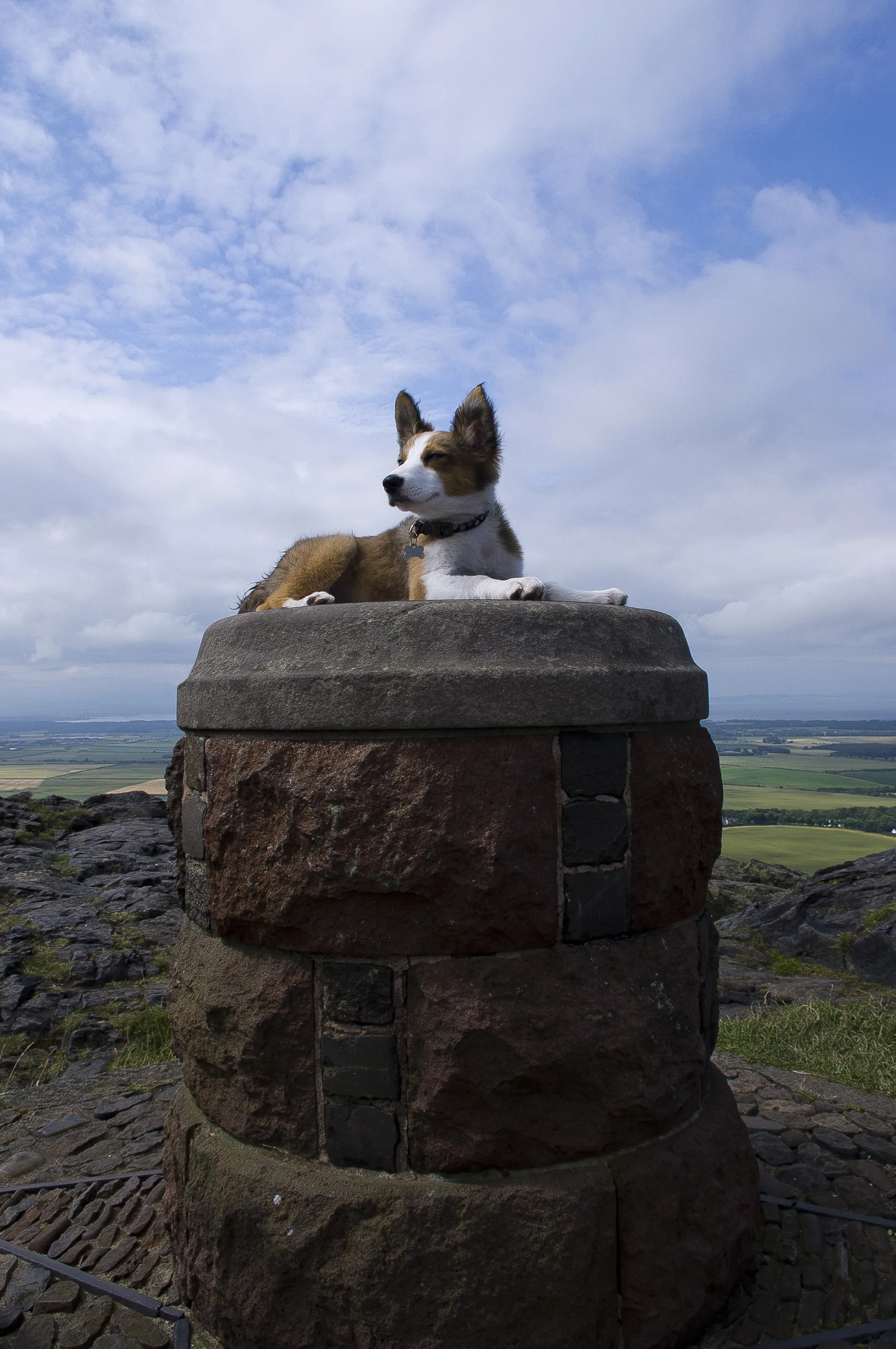 Cody on top