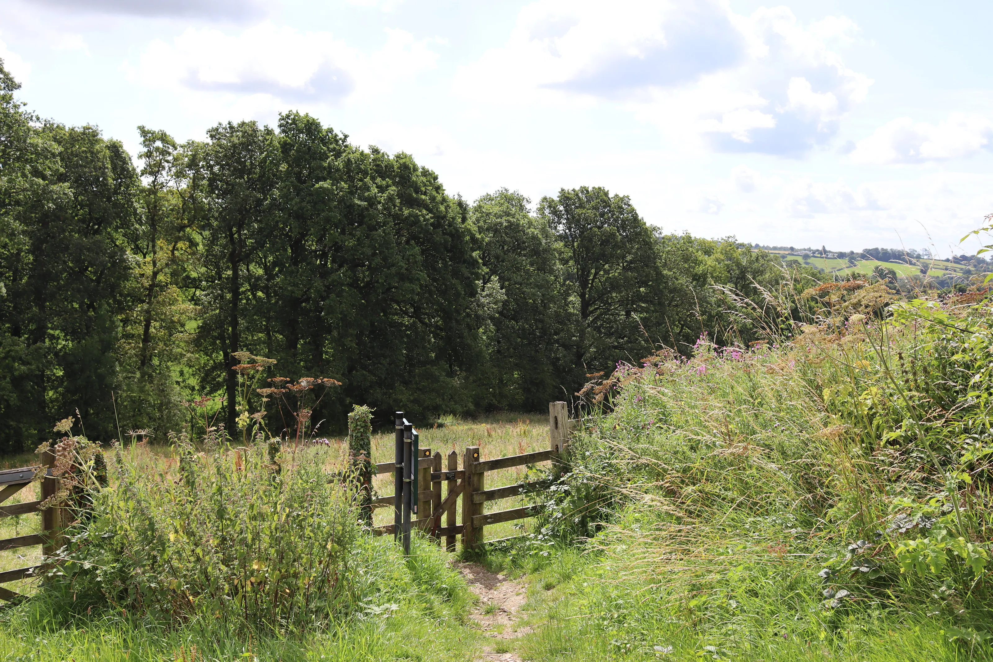 Green fields and blue skies