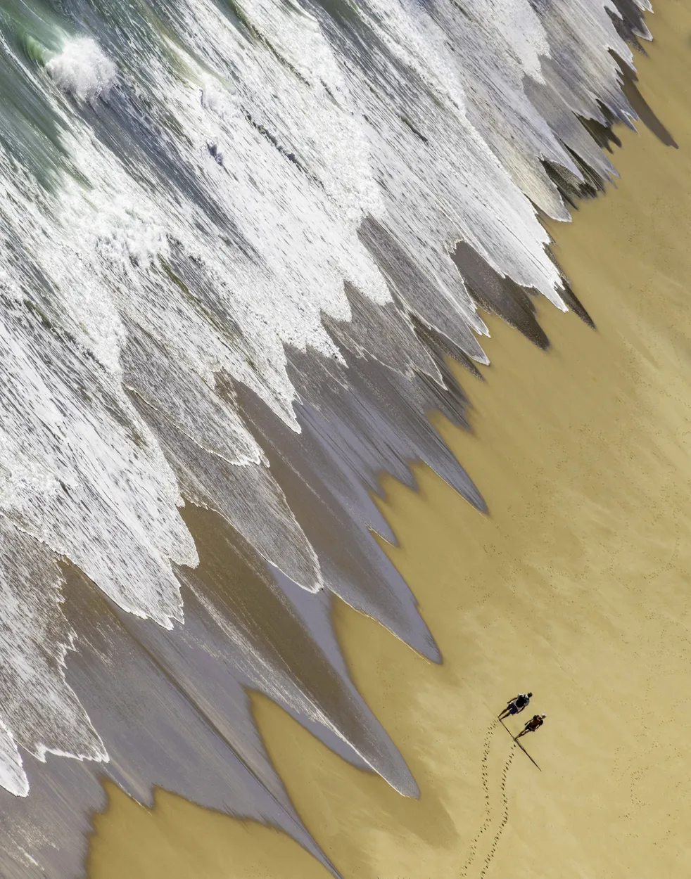 Entry 25505662