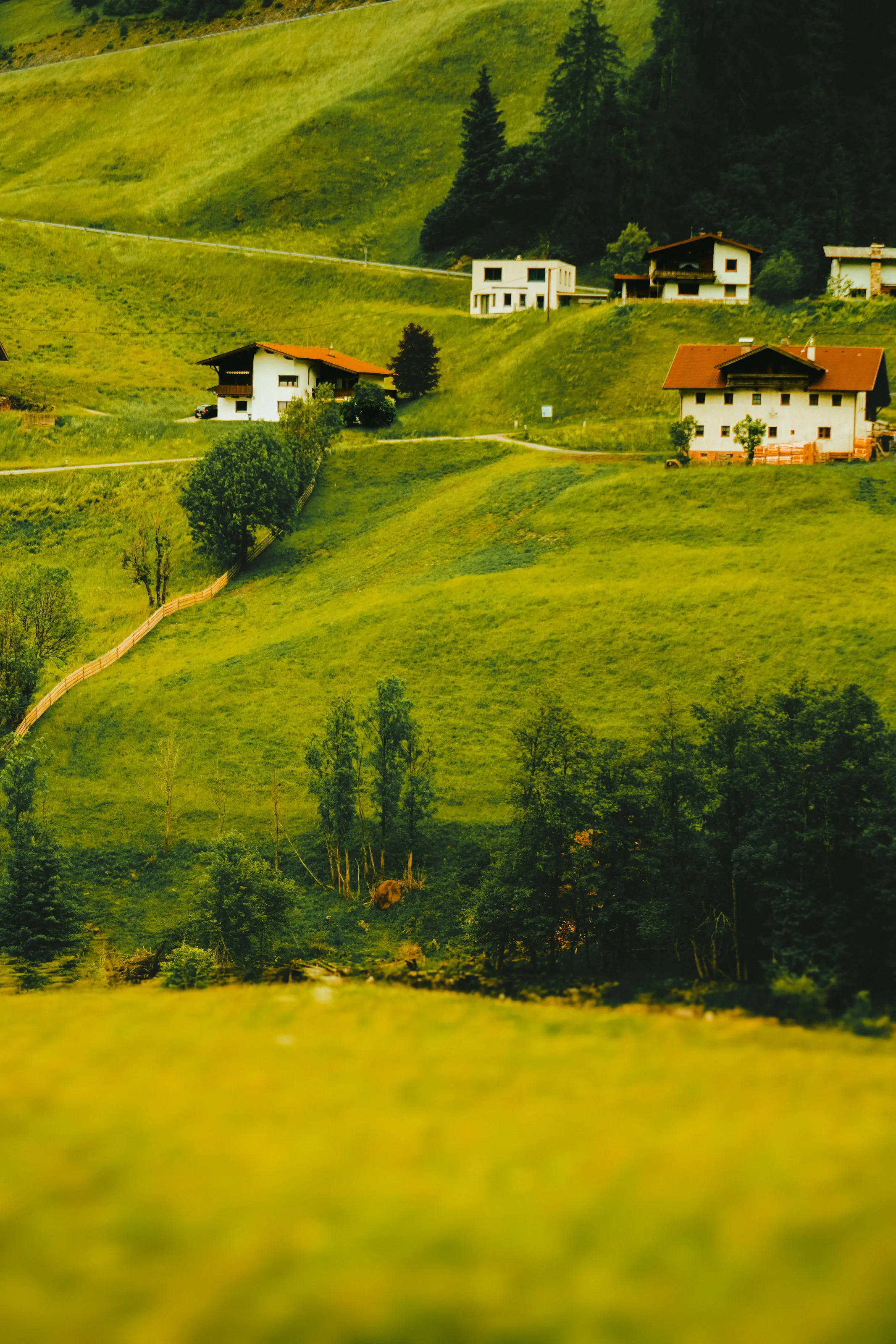 Austrian Countryside