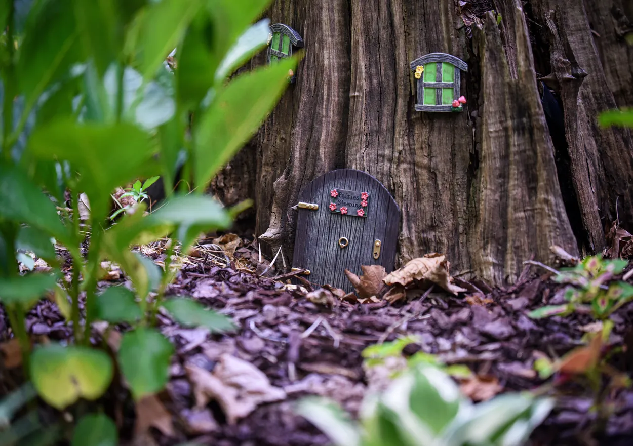 Entry 24621352