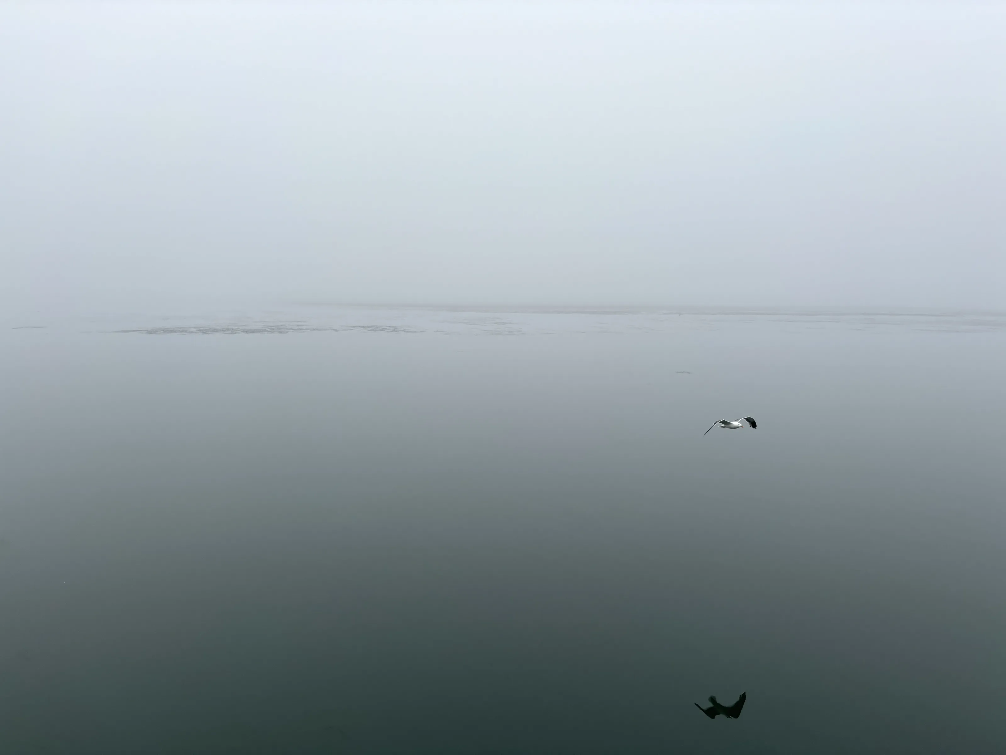 Flying Solo