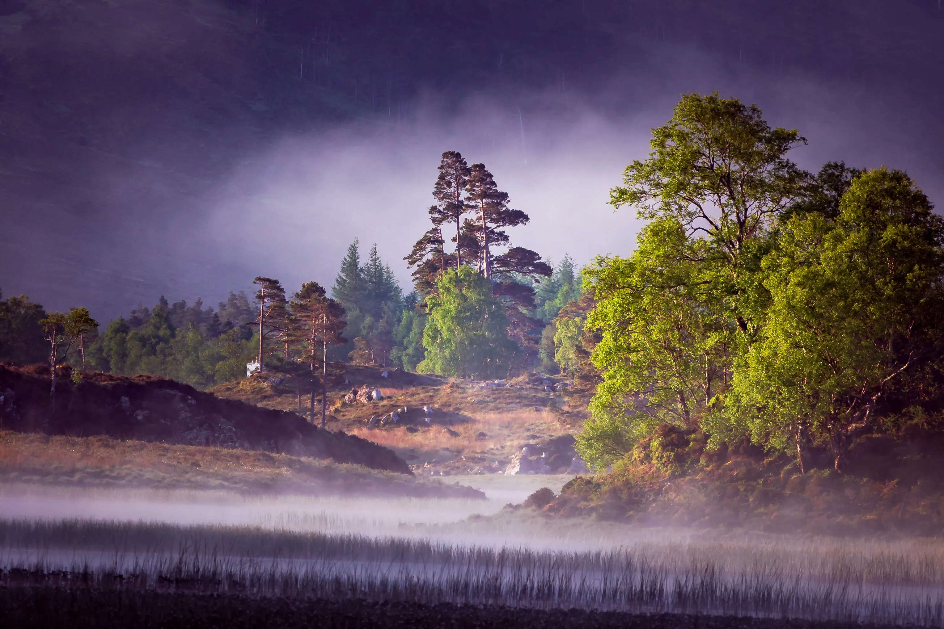 Loch Coulin